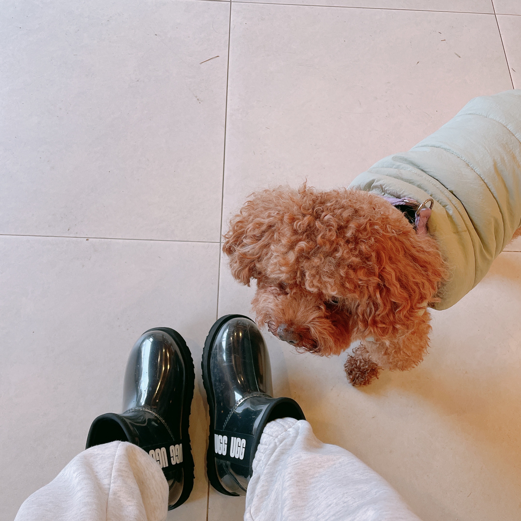 (W) UGG Classic Clear Mini Boots Black 착용 스타일 - 2