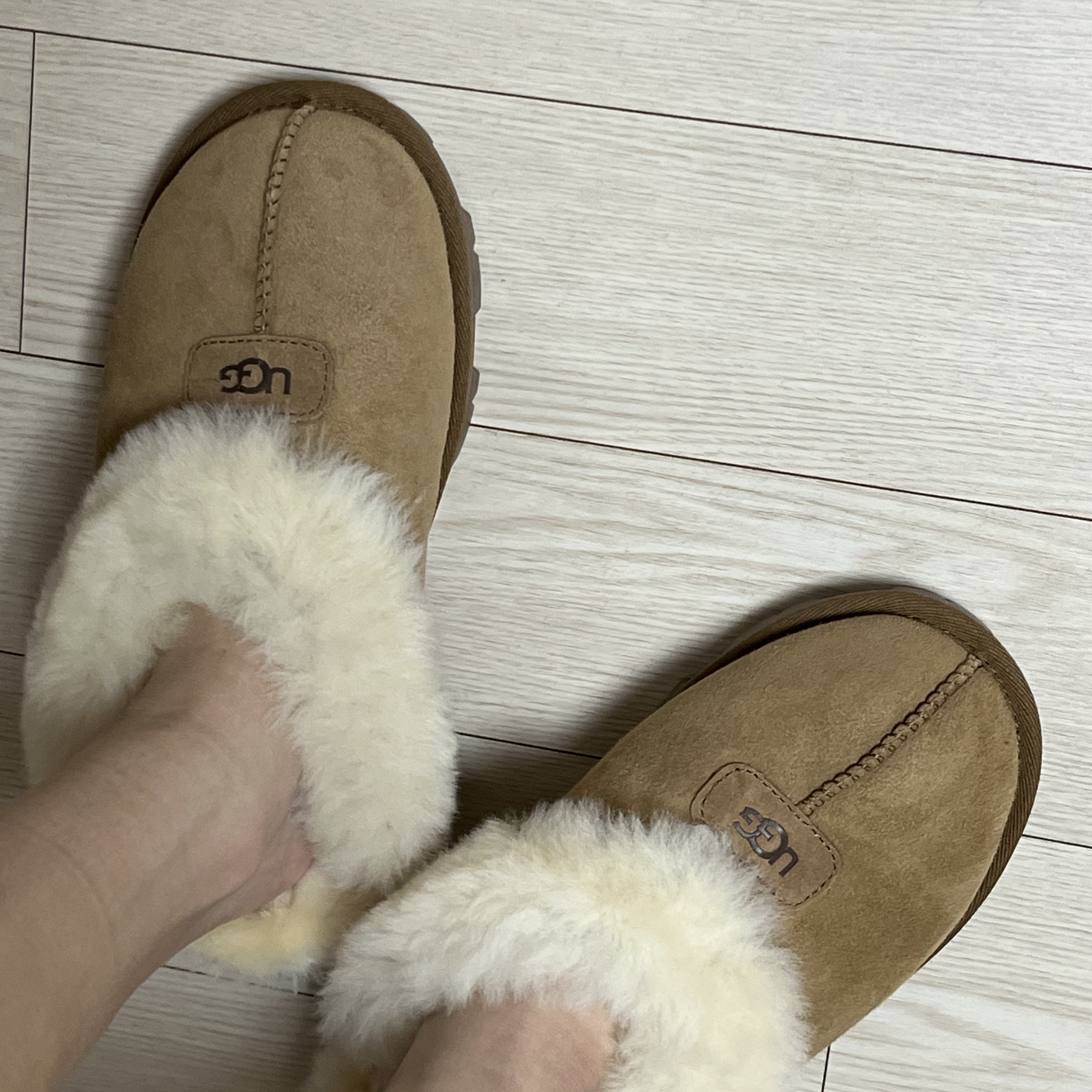 (W) UGG Coquette Slipper Chestnut 착용 스타일