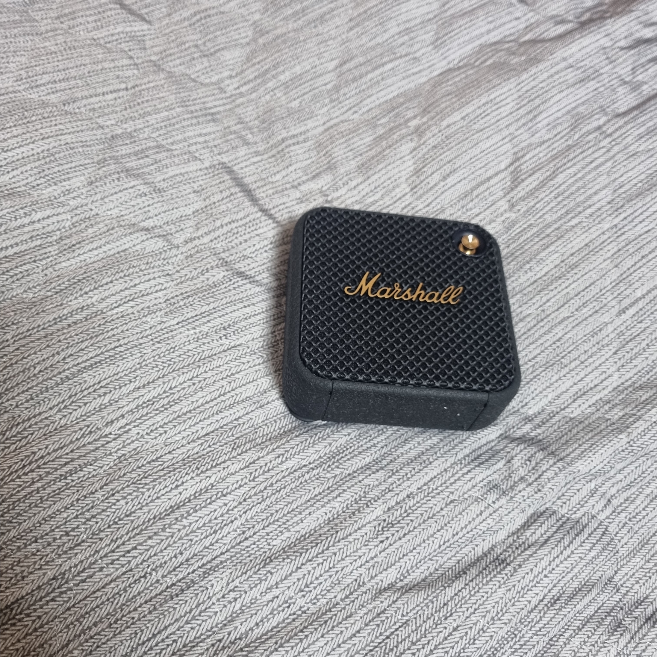 Marshall Willen Black & Brass (Korean Ver.) 착용 스타일 - 1