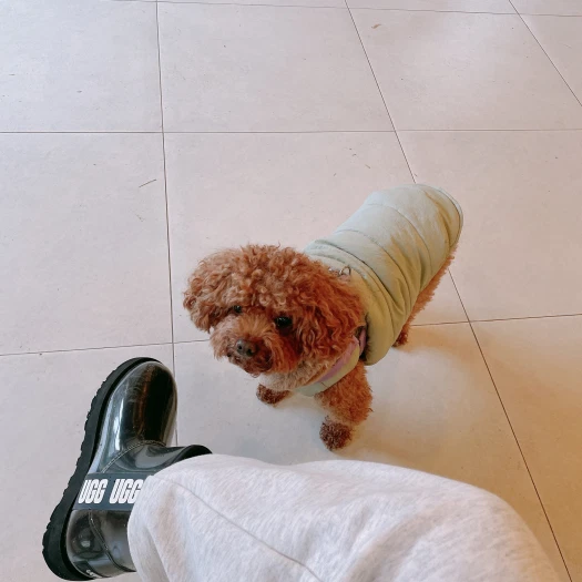 스타일 카드