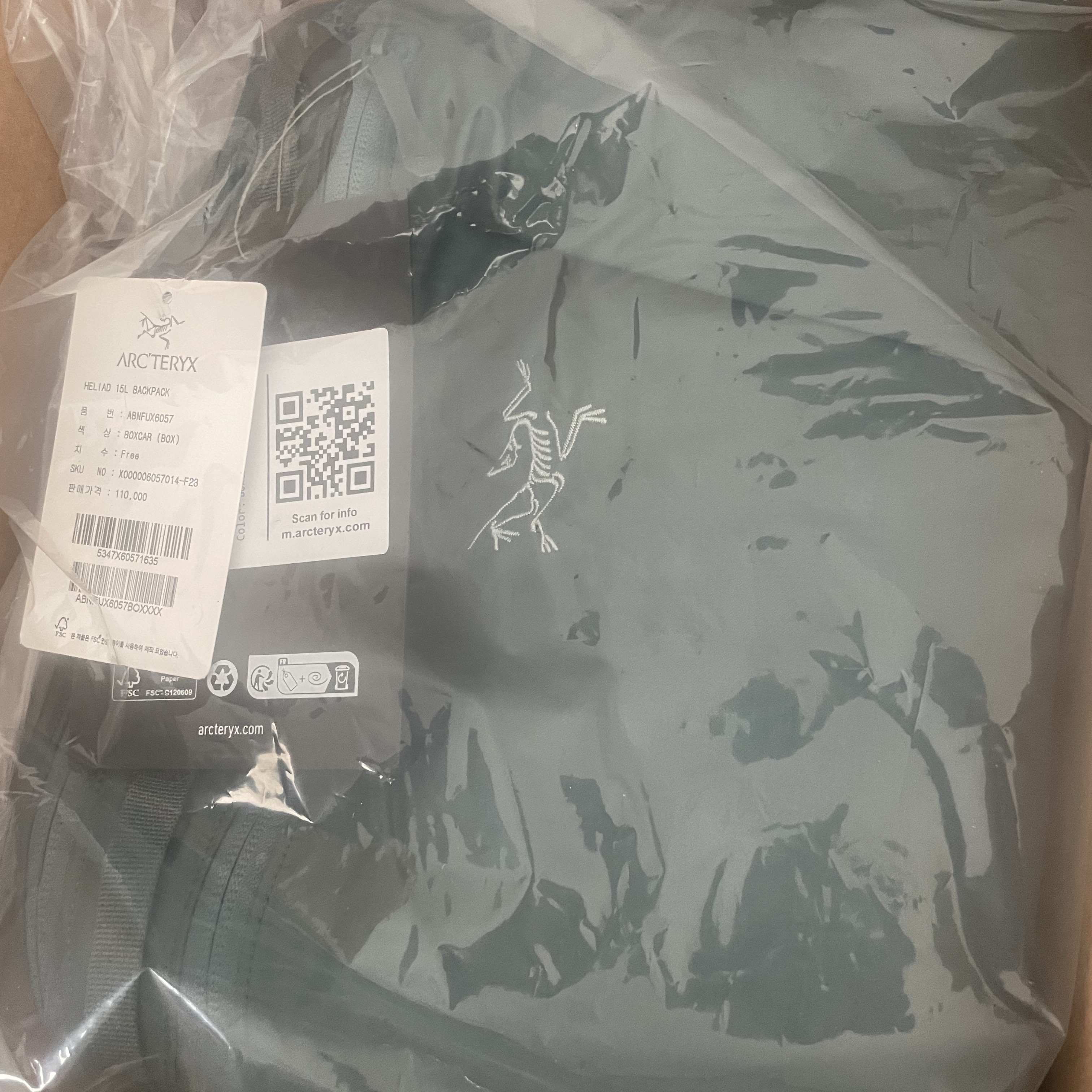 Arc'teryx Heliad 15 Backpack Boxcar 착용 스타일