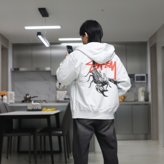 Stussy Scorpion Zip Hoodie Ash heather 착용 스타일
