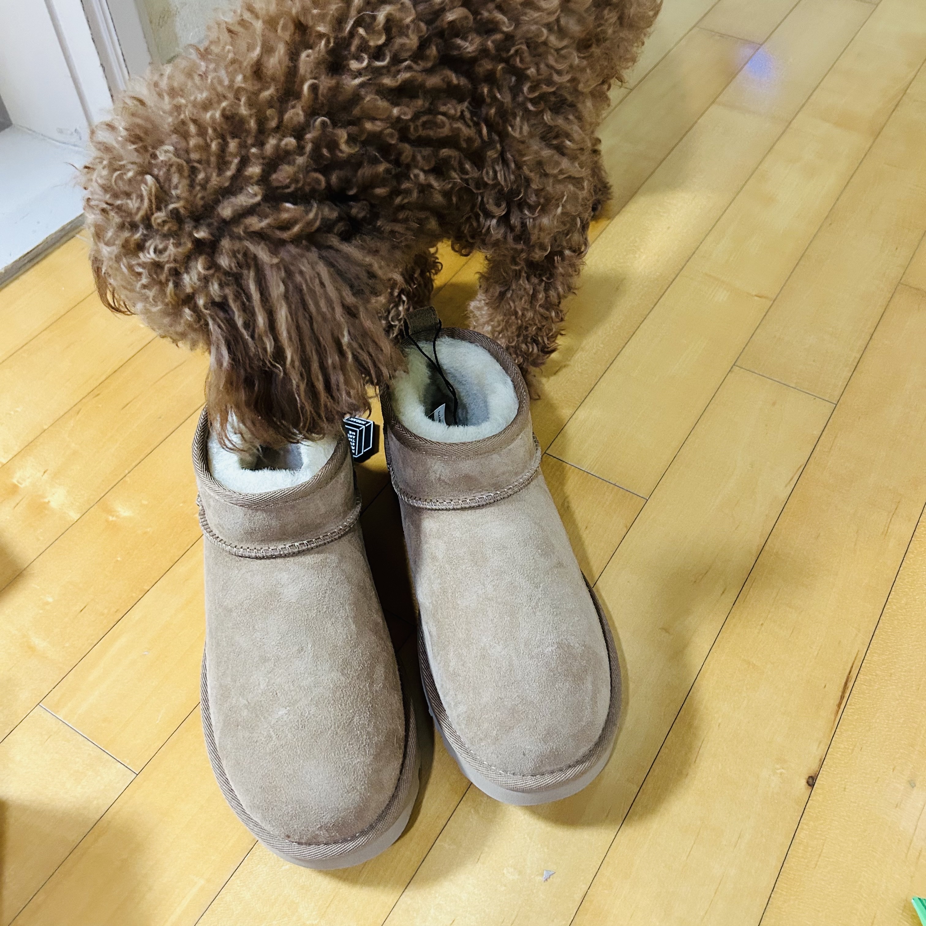 (W) UGG Classic Ultra Mini Boots Chestnut 착용 스타일 - 2