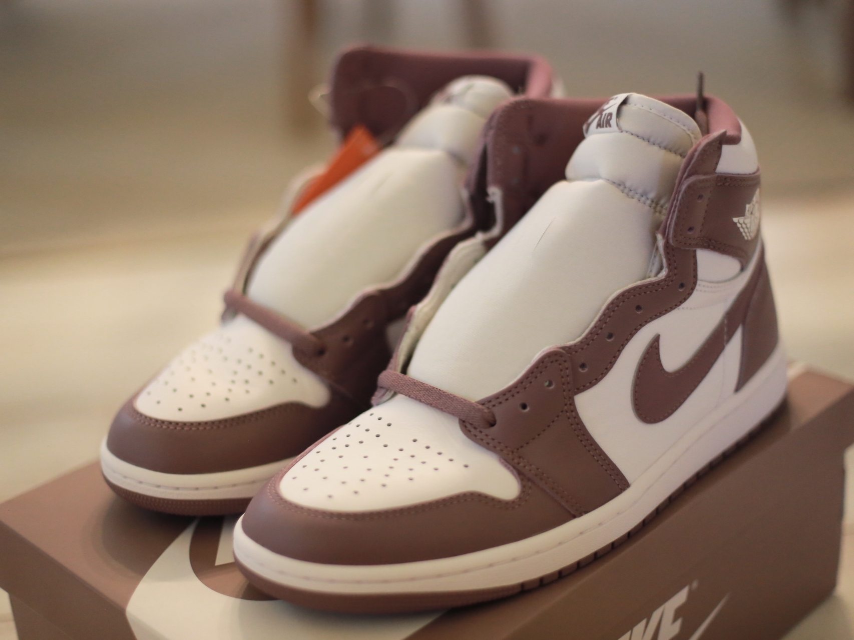 Jordan 1 Retro High OG Mauve 착용 스타일 - 2