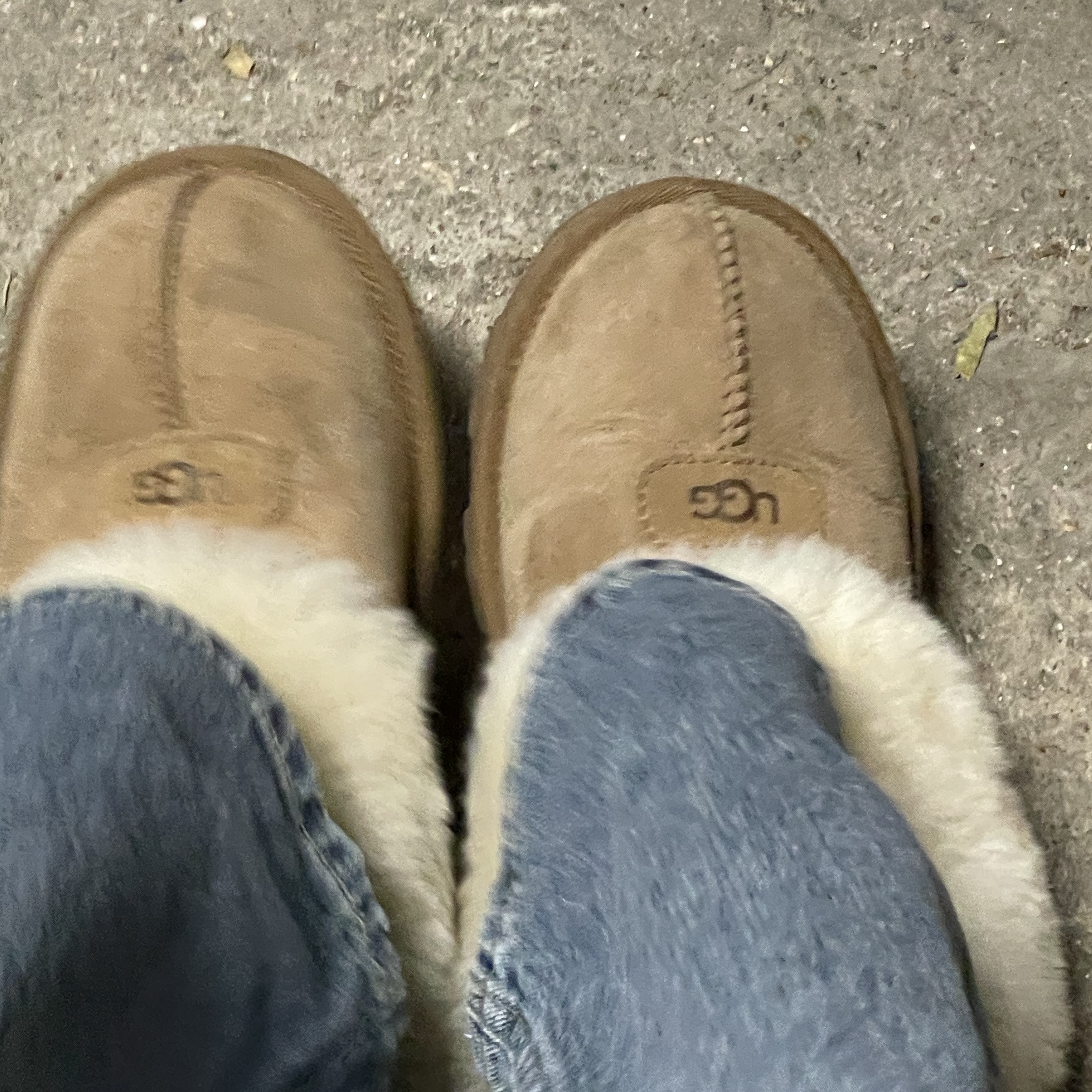 (W) UGG Coquette Slipper Chestnut 착용 스타일