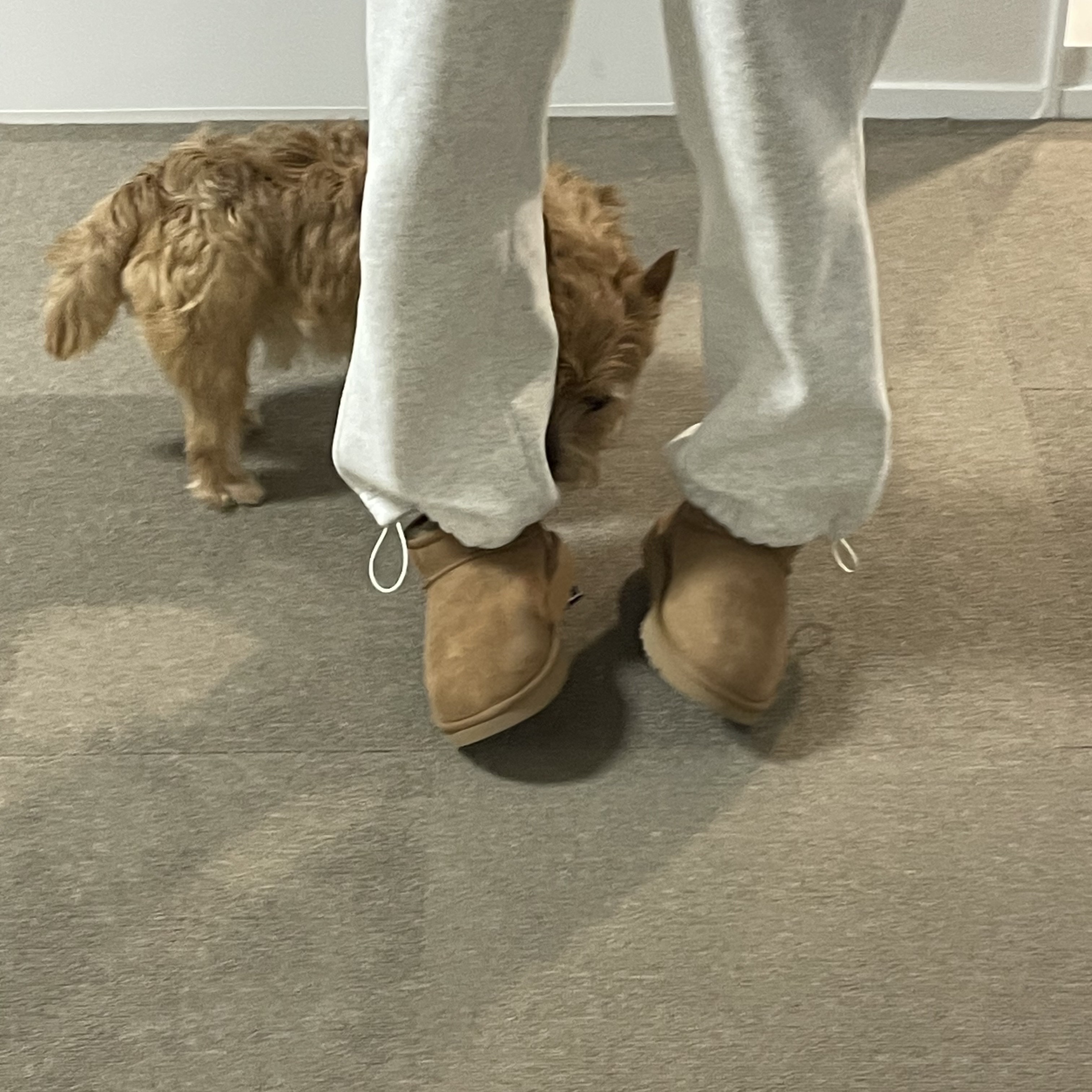 (W) UGG Classic Ultra Mini Boots Chestnut 착용 스타일
