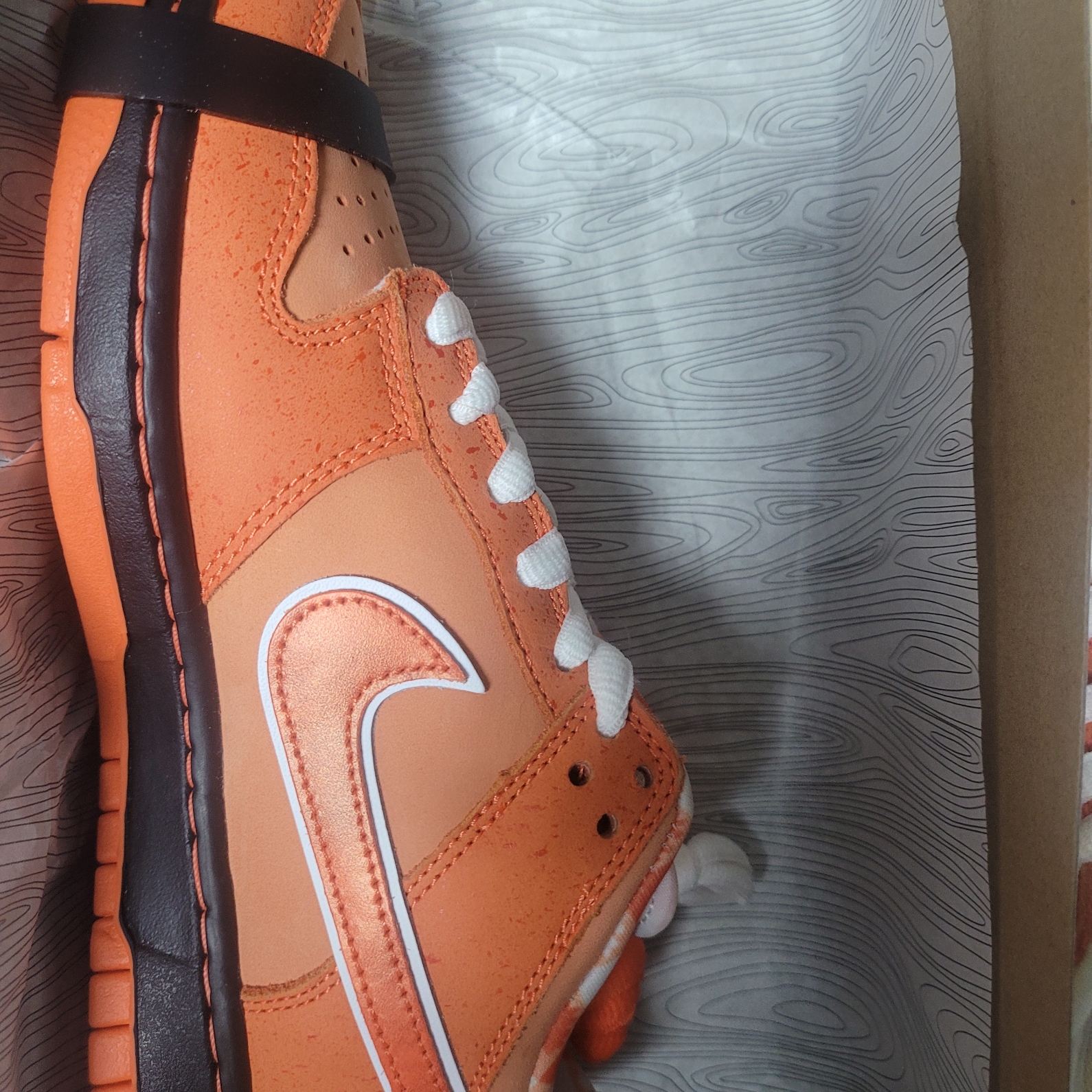 Nike x Concepts SB Dunk Low Orange Lobster (Regular Box) 착용 스타일