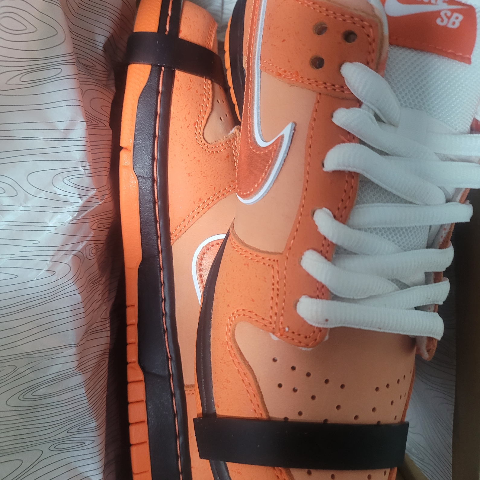 Nike x Concepts SB Dunk Low Orange Lobster (Regular Box) 착용 스타일