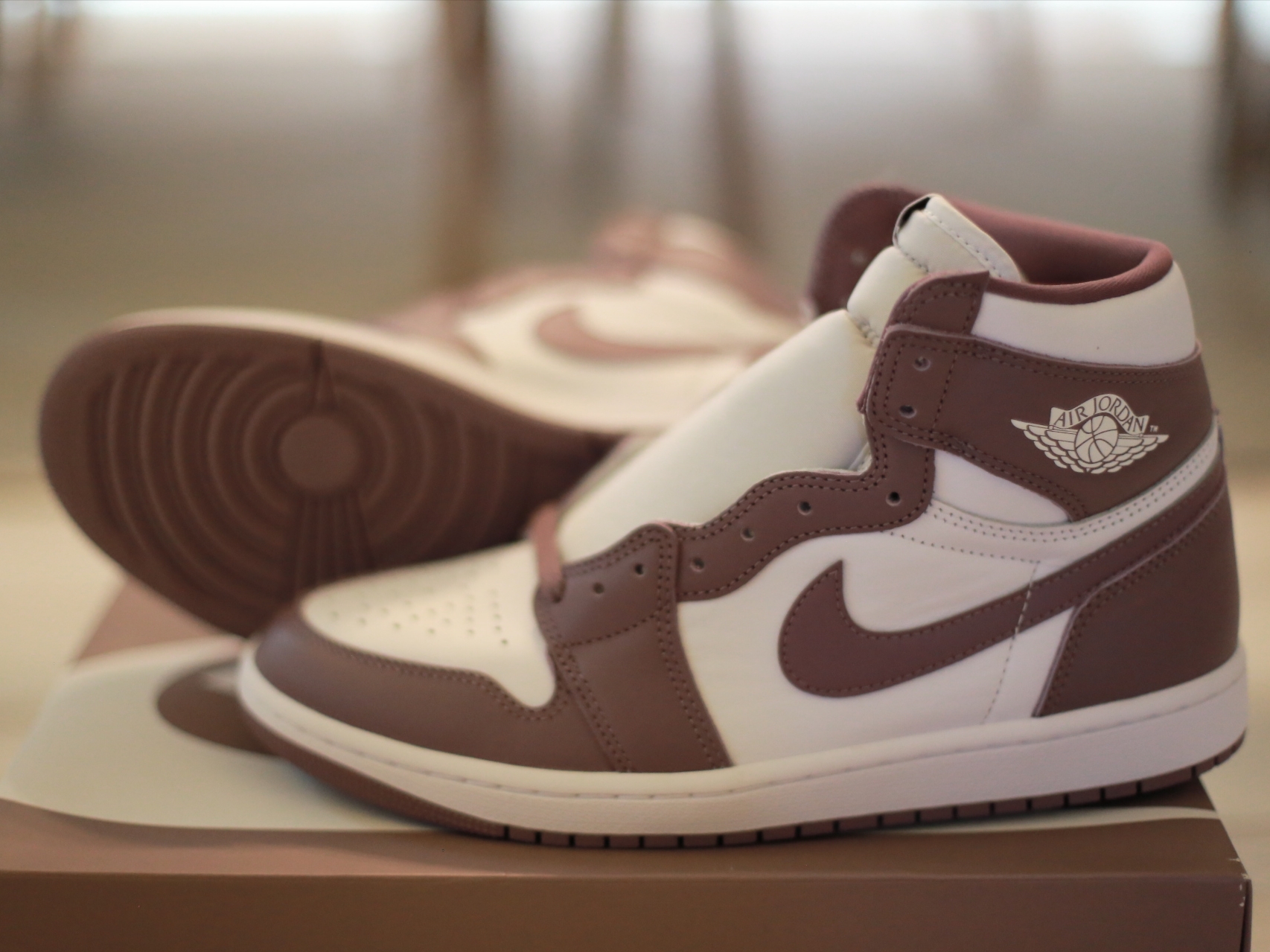 Jordan 1 Retro High OG Mauve 착용 스타일 - 4