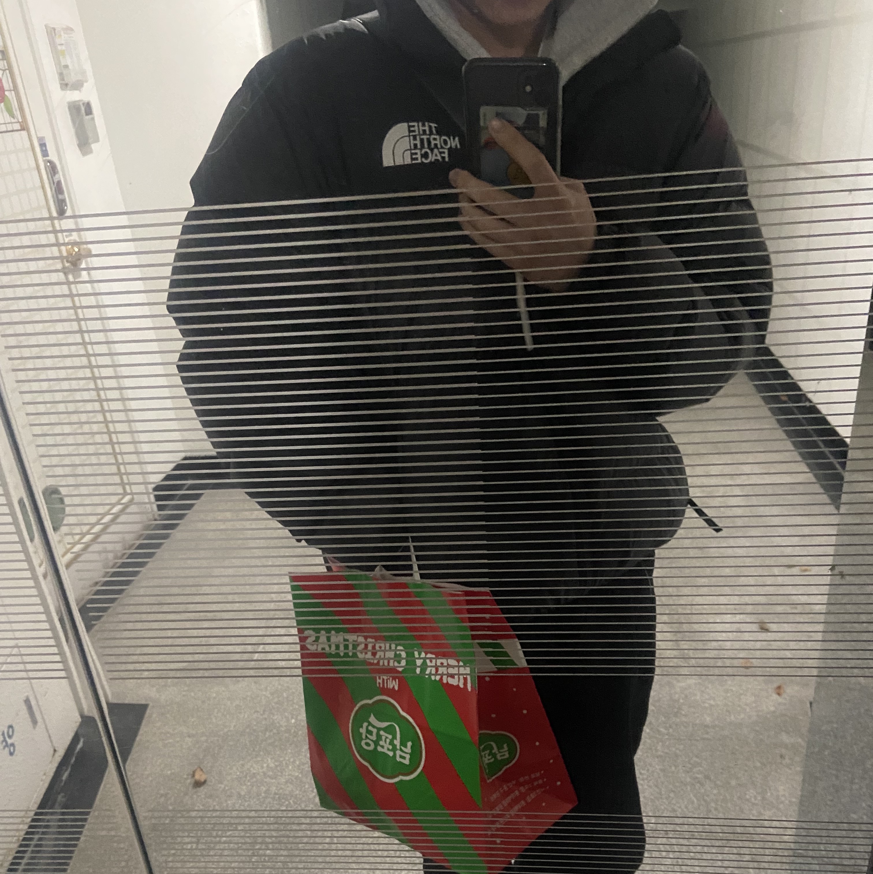 The North Face 1996 Eco Nuptse Jacket Black, Jordan 1 Low Dark Teal 착용 스타일 - 1
