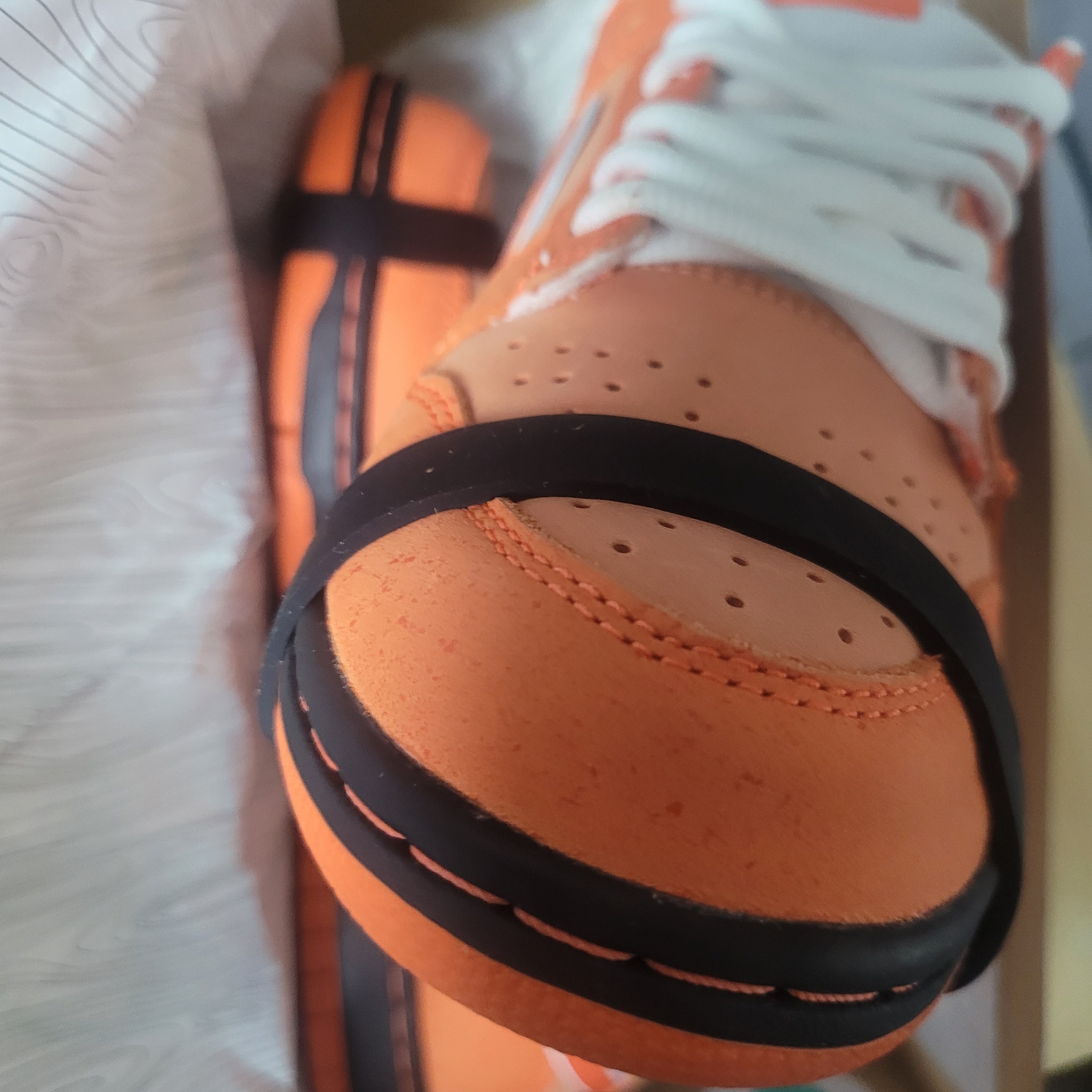 Nike x Concepts SB Dunk Low Orange Lobster (Regular Box) 착용 스타일