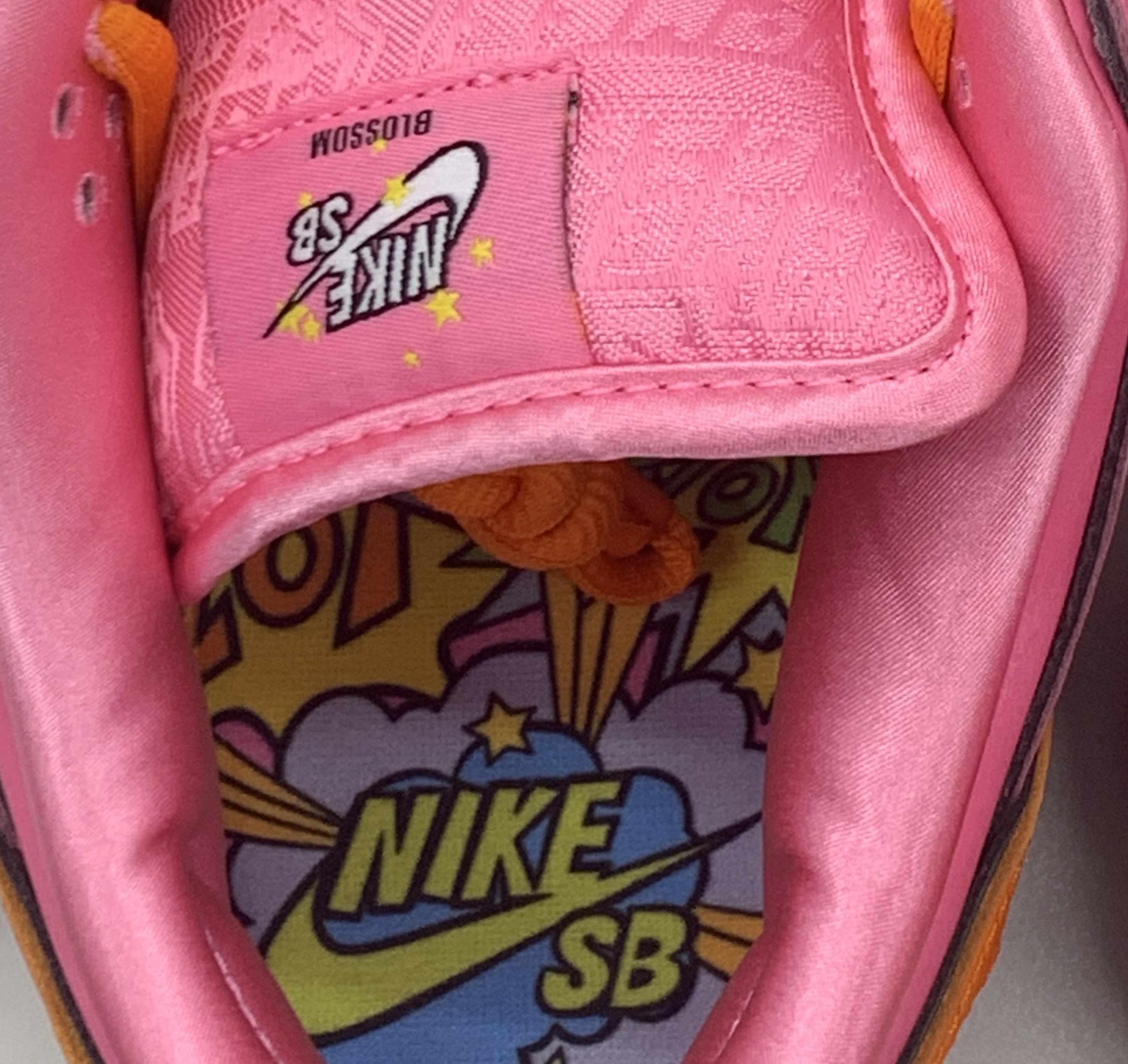Nike x The Powerpuff Girls SB Dunk Low Pro QS Blossom 착용 스타일 - 1