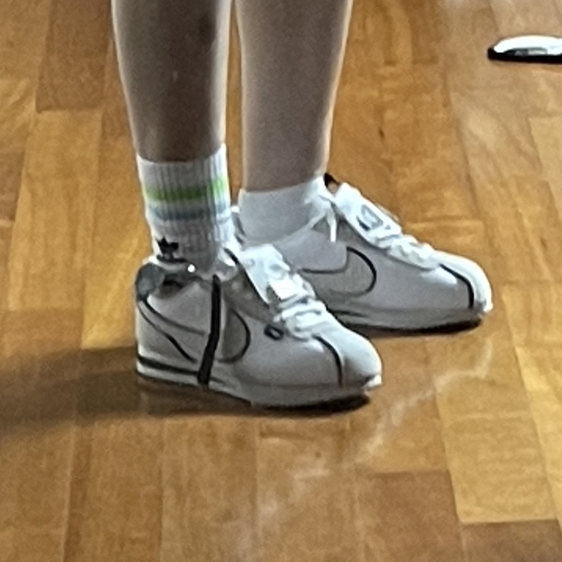 (W) Nike Cortez All Petals United White Fir 착용 스타일