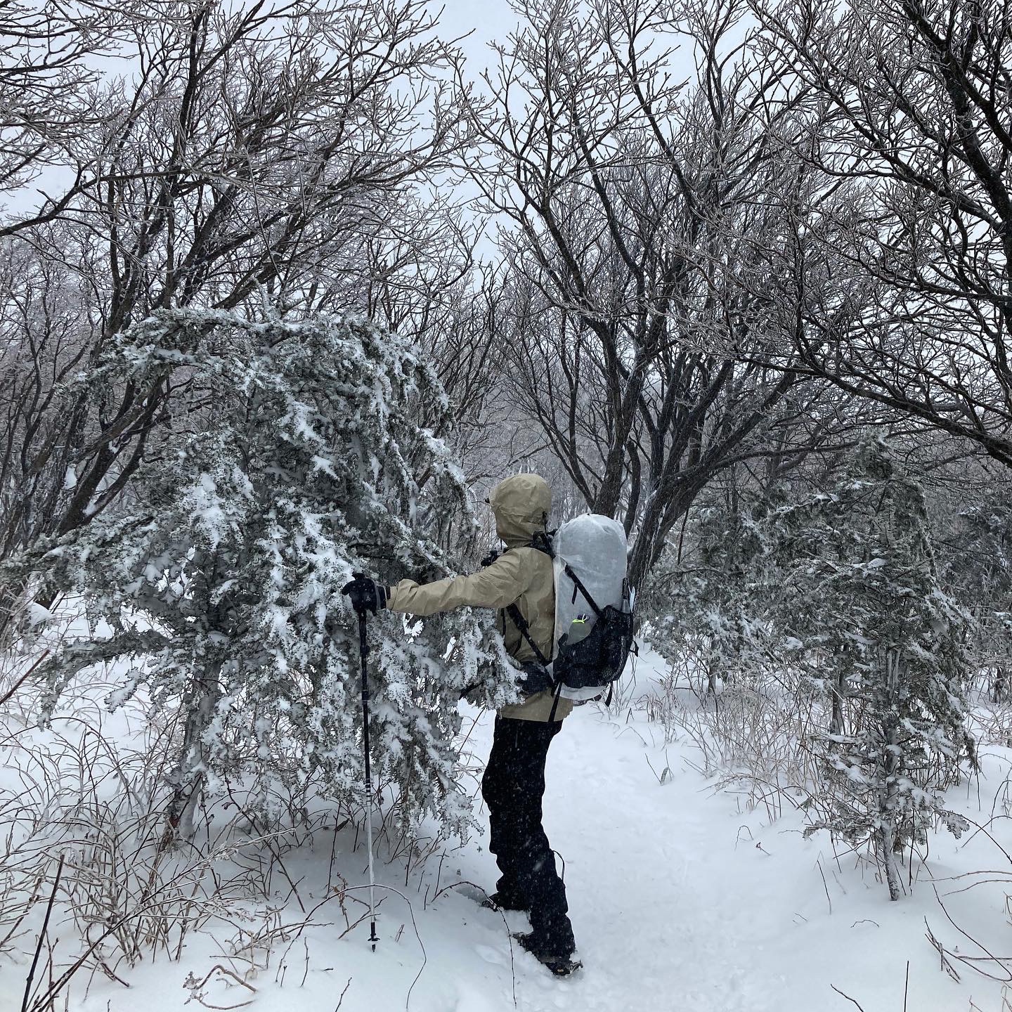Arc'teryx Beta Jacket Wicker 착용 스타일