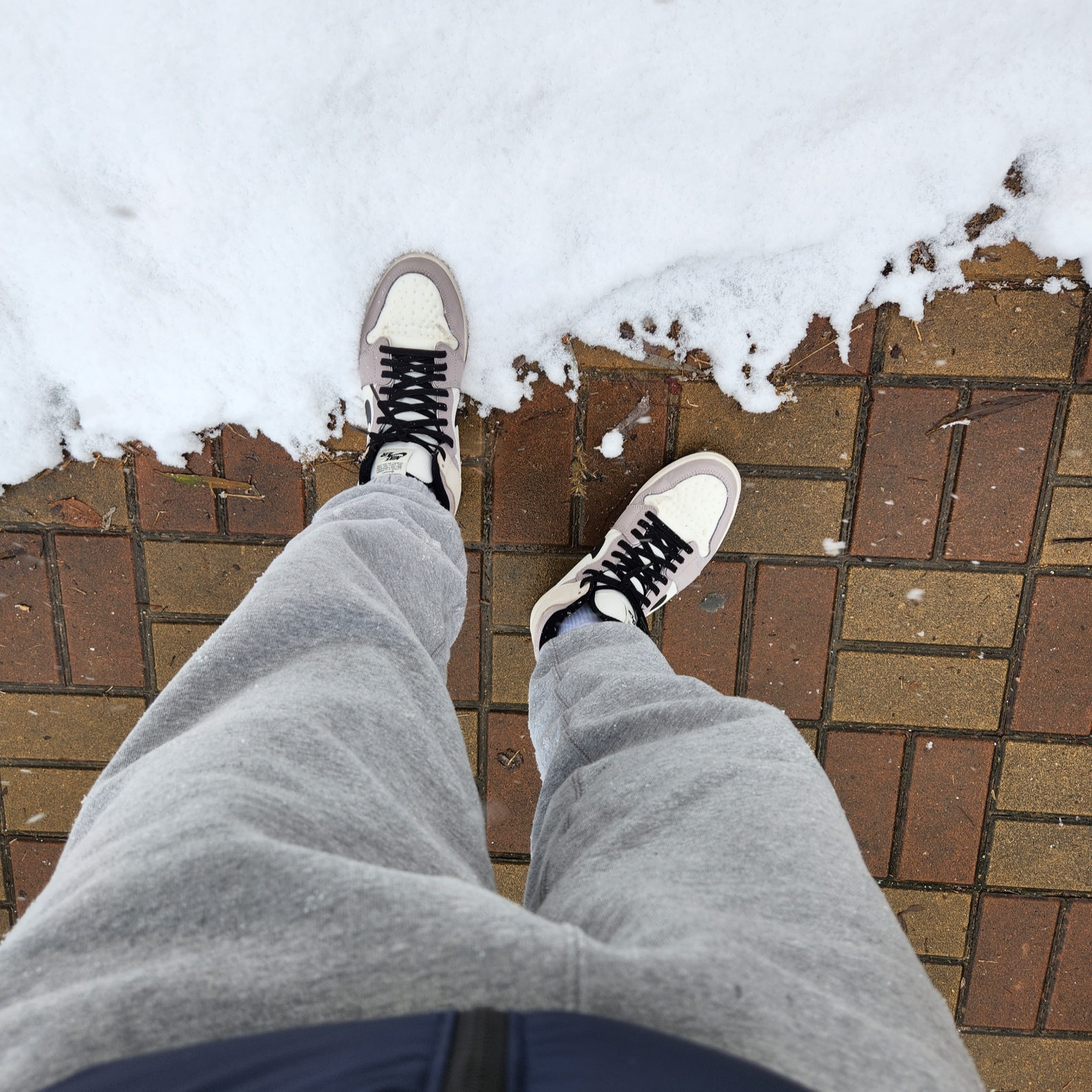 Jordan 1 Element Gore-Tex Sail, Nike NRG Solo Swoosh Fleece Pants Dark Grey Heather - Asia 착용 스타일