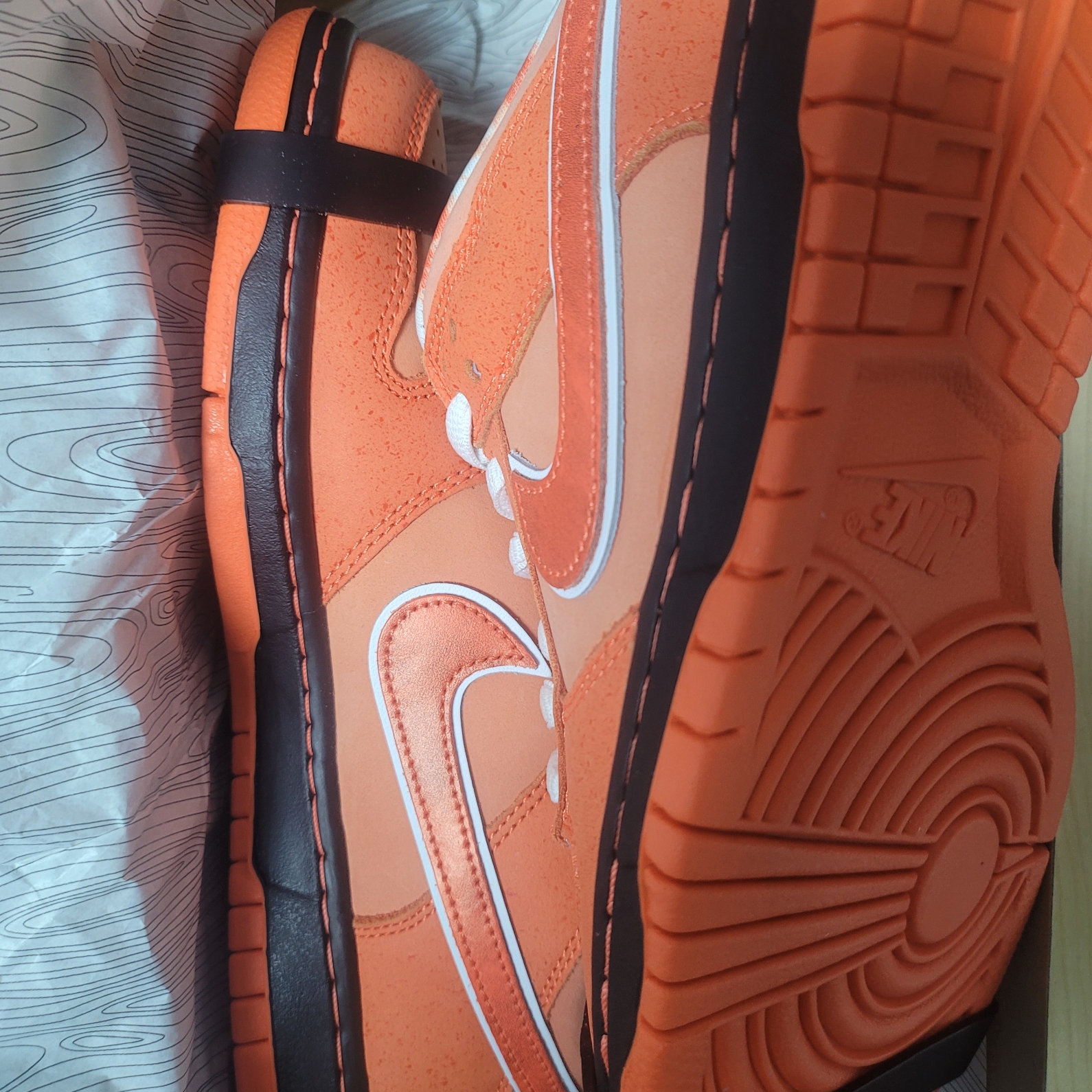 Nike x Concepts SB Dunk Low Orange Lobster (Regular Box) 착용 스타일