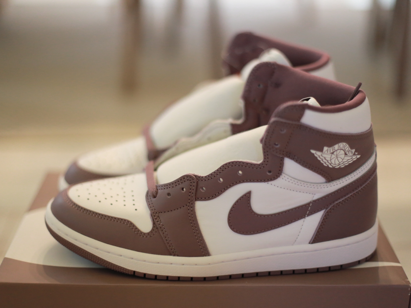 Jordan 1 Retro High OG Mauve 착용 스타일 - 1