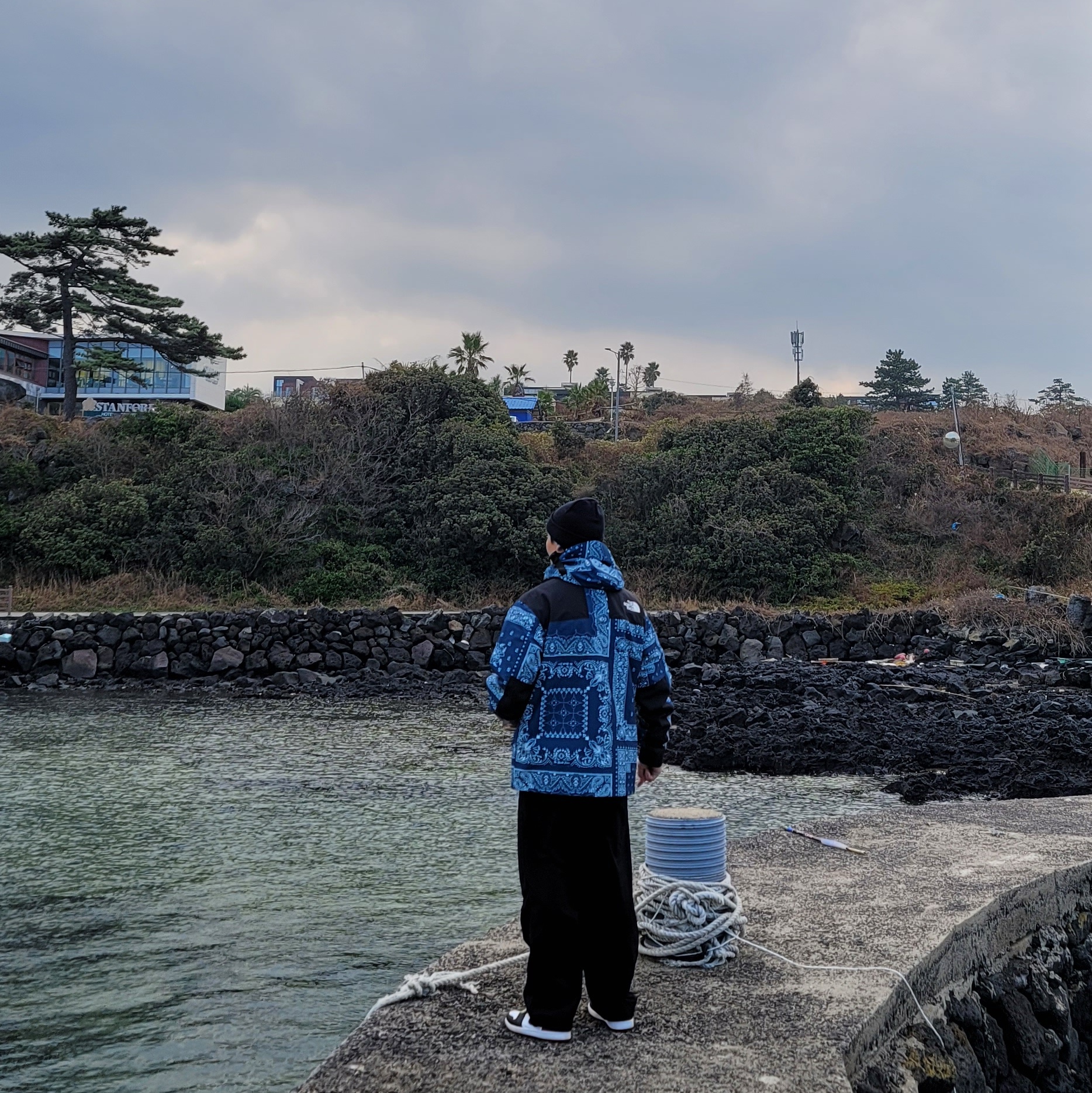 The North Face Novelty GTX Mountain Jacket Peacock Blue, Jordan 1 Retro Low OG Black Toe 착용 스타일 - 1