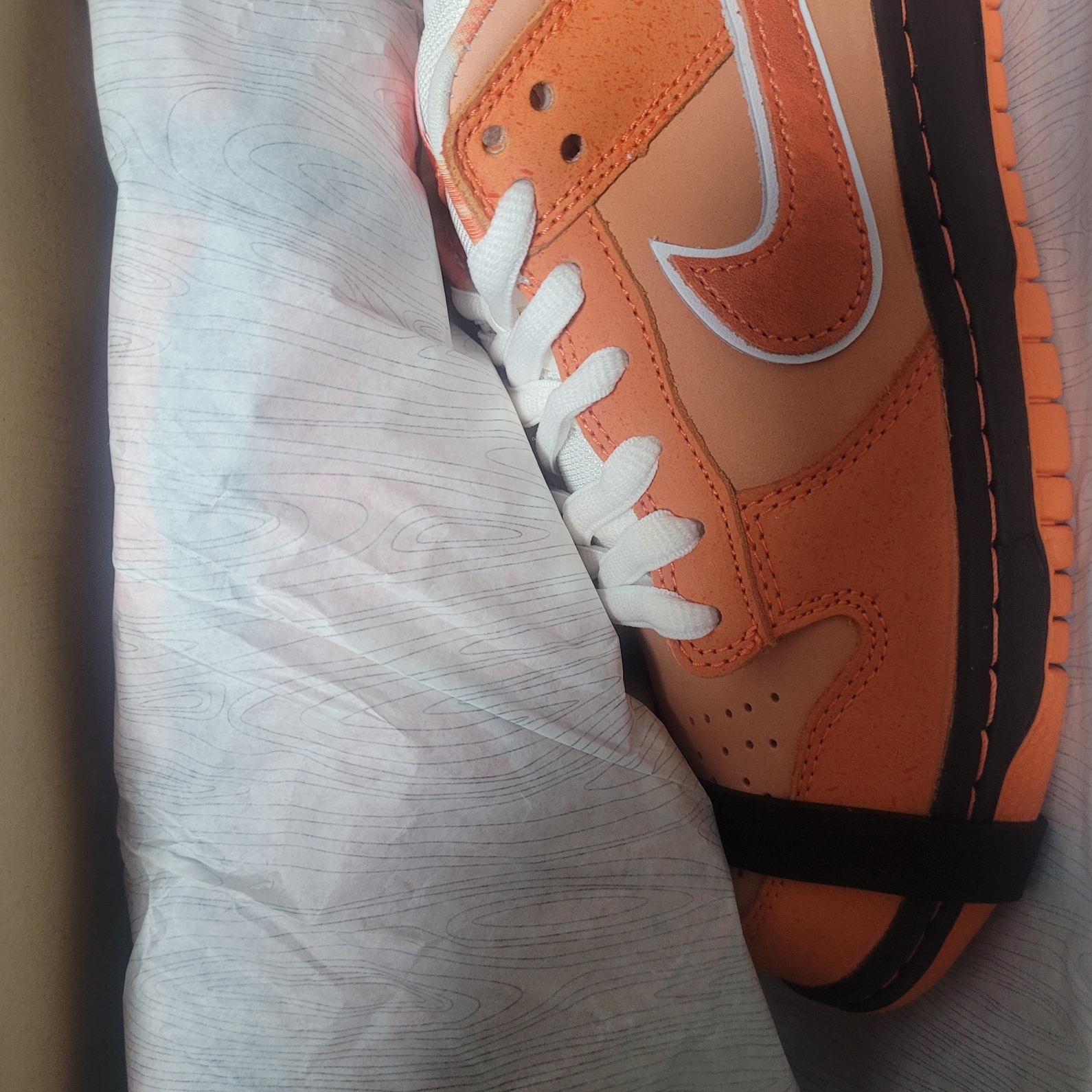 Nike x Concepts SB Dunk Low Orange Lobster (Regular Box) 착용 스타일