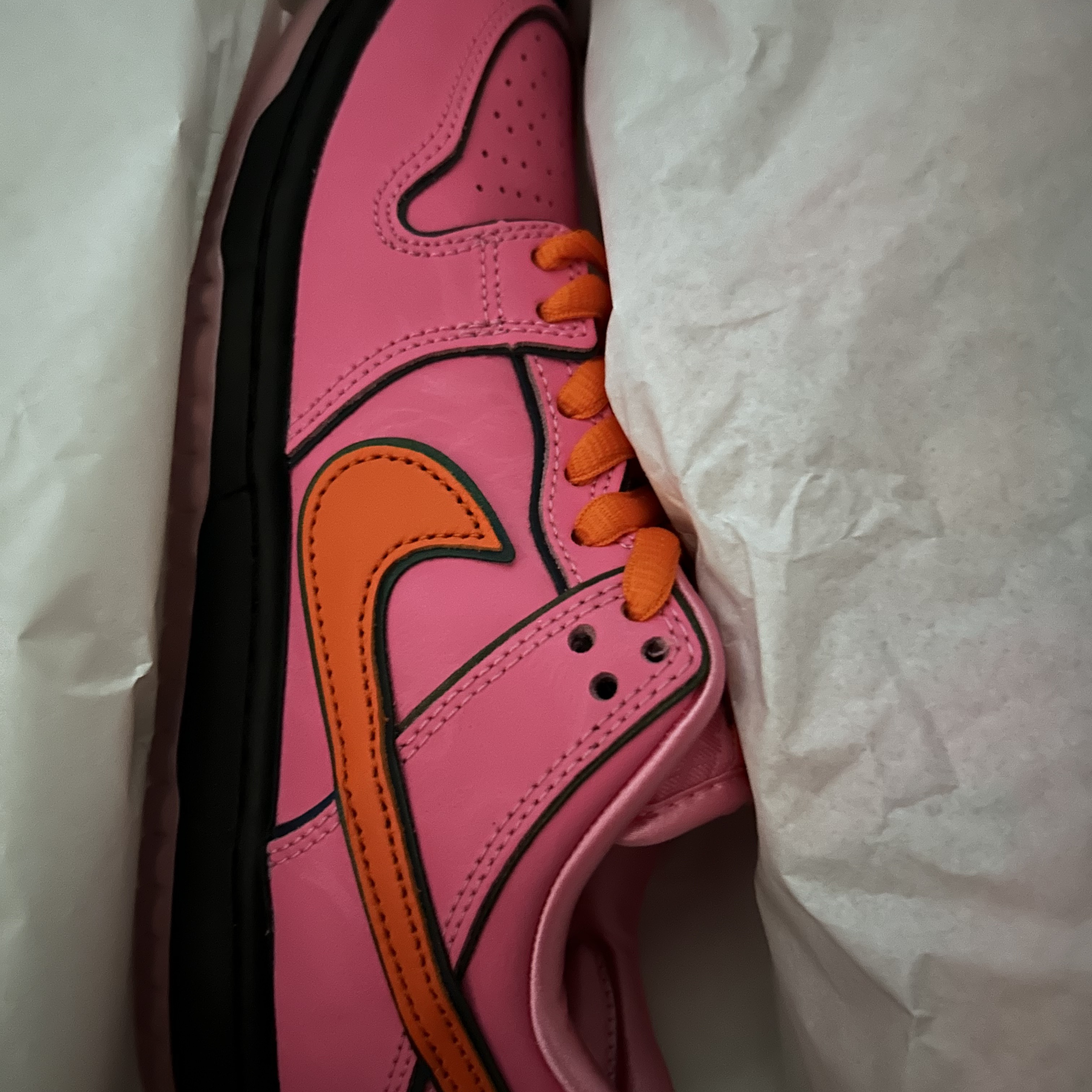 Nike x The Powerpuff Girls SB Dunk Low Pro QS Blossom 착용 스타일