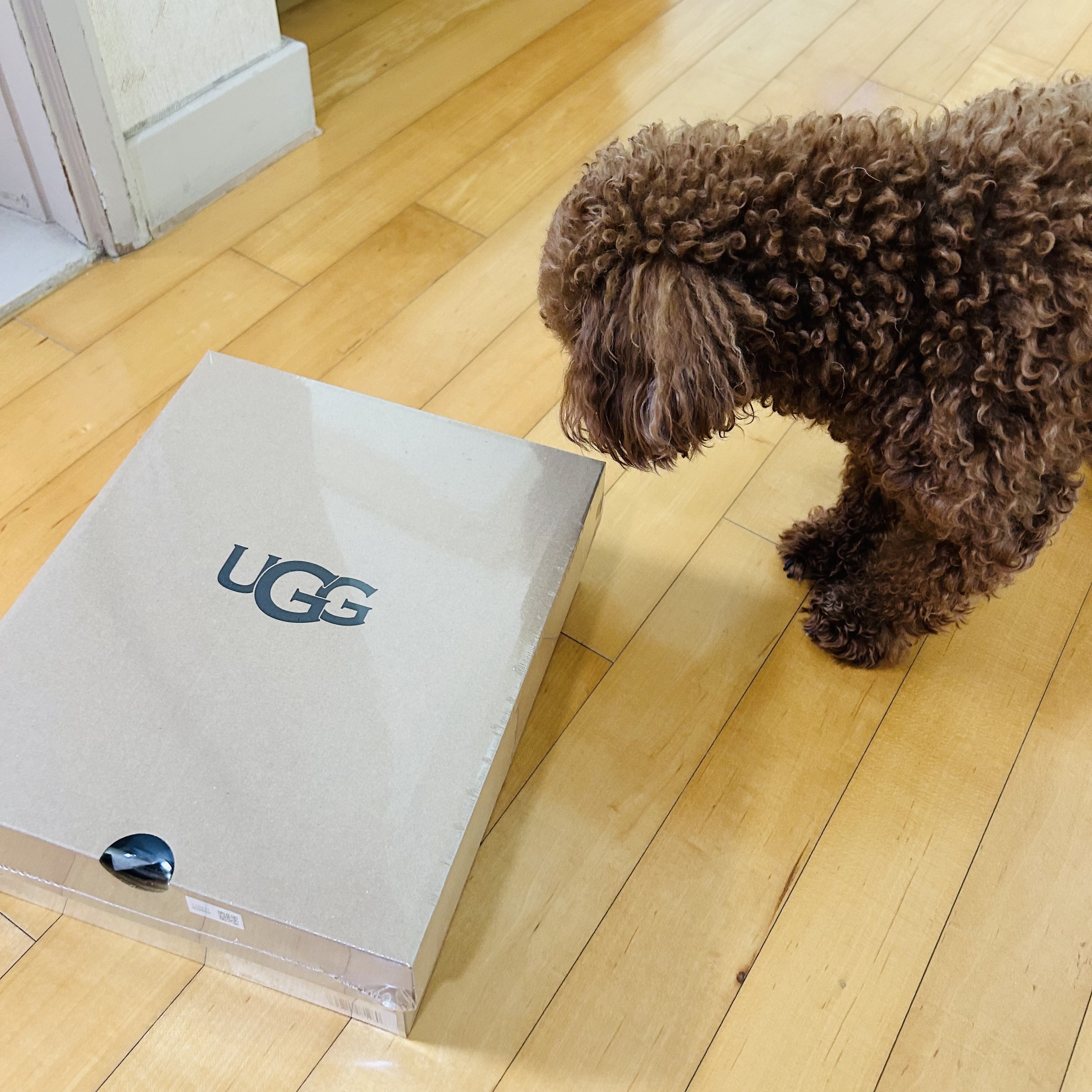 (W) UGG Classic Ultra Mini Boots Chestnut 착용 스타일 - 1