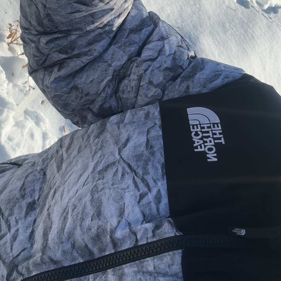 The North Face White Label Novelty Nuptse Down Jacket P White 착용 스타일
