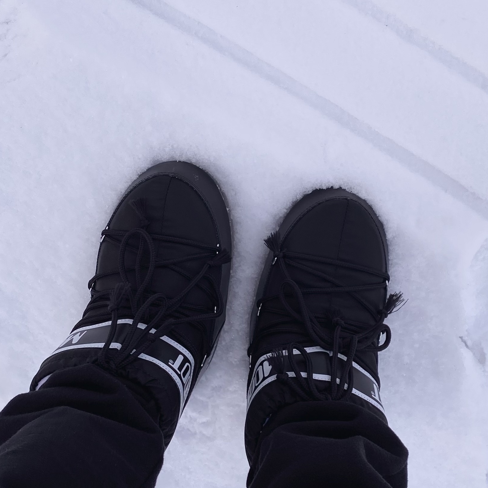 (W) Moon Boot Icon Low Nylon Boots Black 착용 스타일