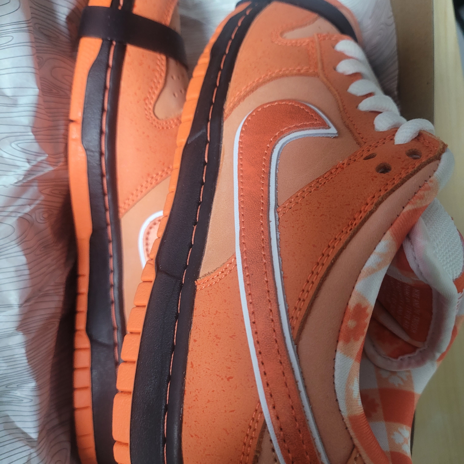 Nike x Concepts SB Dunk Low Orange Lobster (Regular Box) 착용 스타일