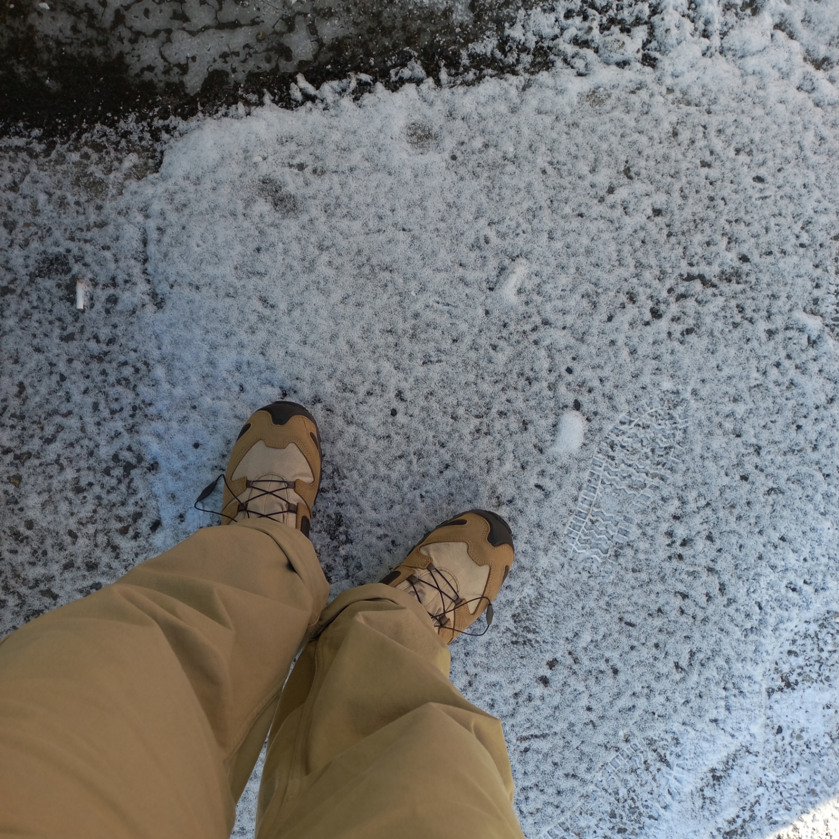 Salomon x Better Gift Shop XA Pro 3D Mid Gore-Tex Safari 착용 스타일