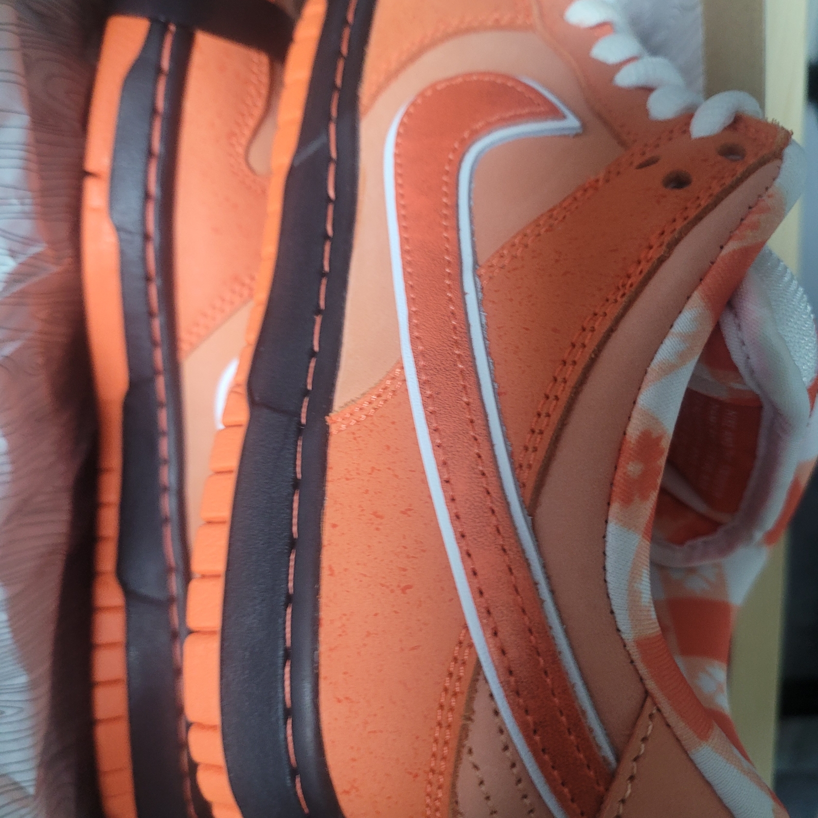 Nike x Concepts SB Dunk Low Orange Lobster (Regular Box) 착용 스타일