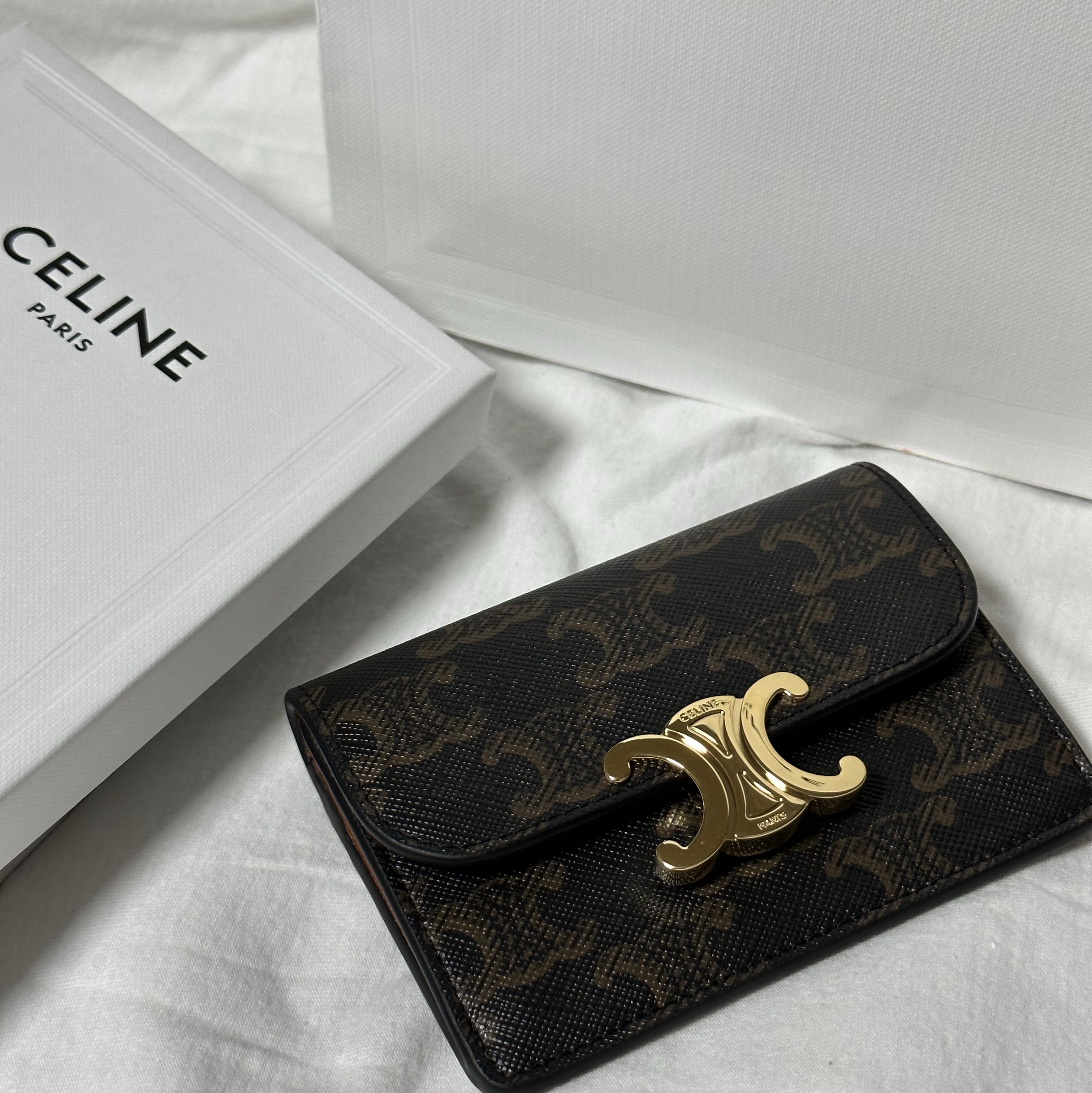 Celine Card Holder with Flap in Triomphe Canvas Tan 착용 스타일