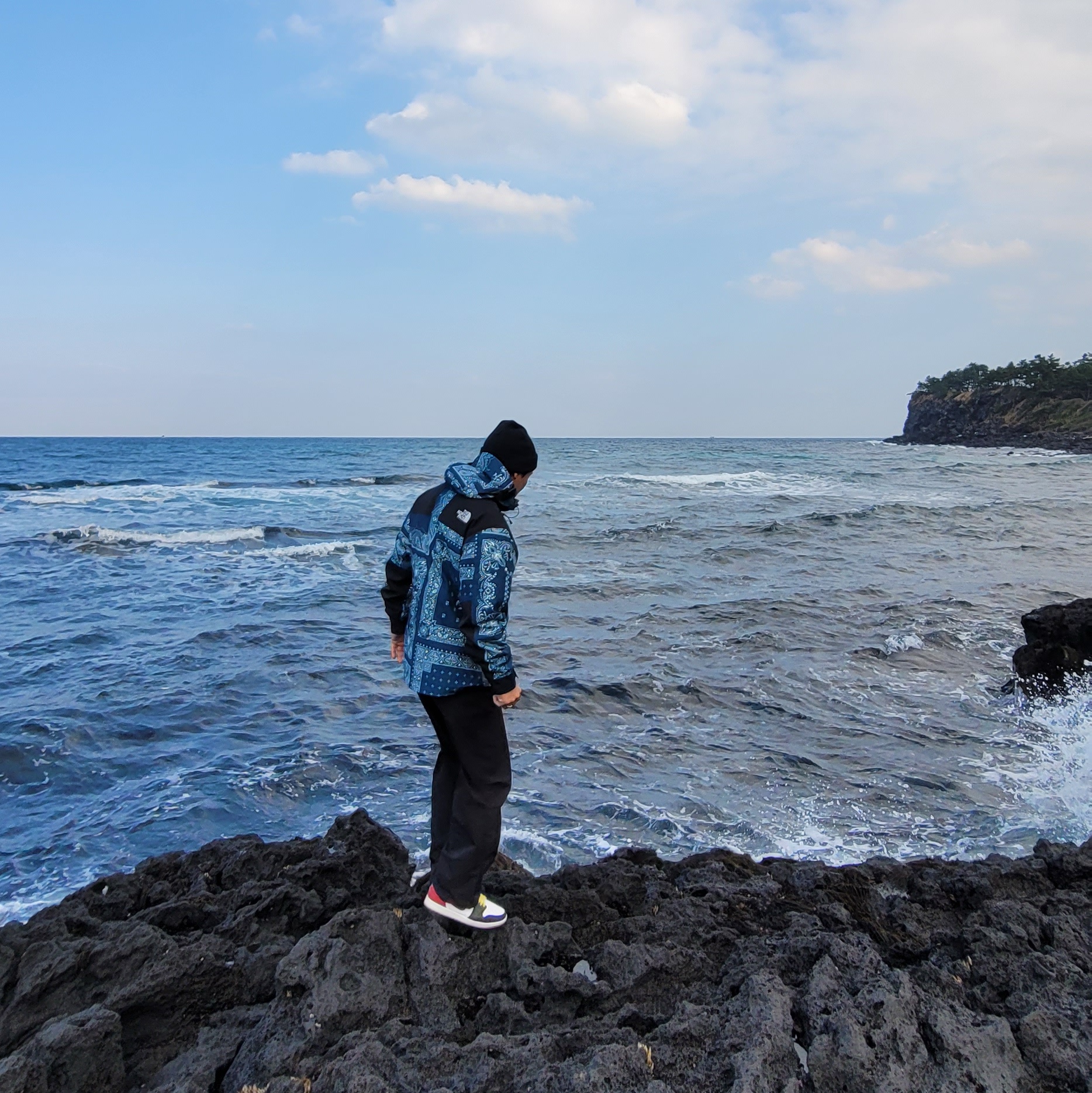 The North Face Novelty GTX Mountain Jacket Peacock Blue, Jordan 1 Retro Low OG Black Toe 착용 스타일 - 2