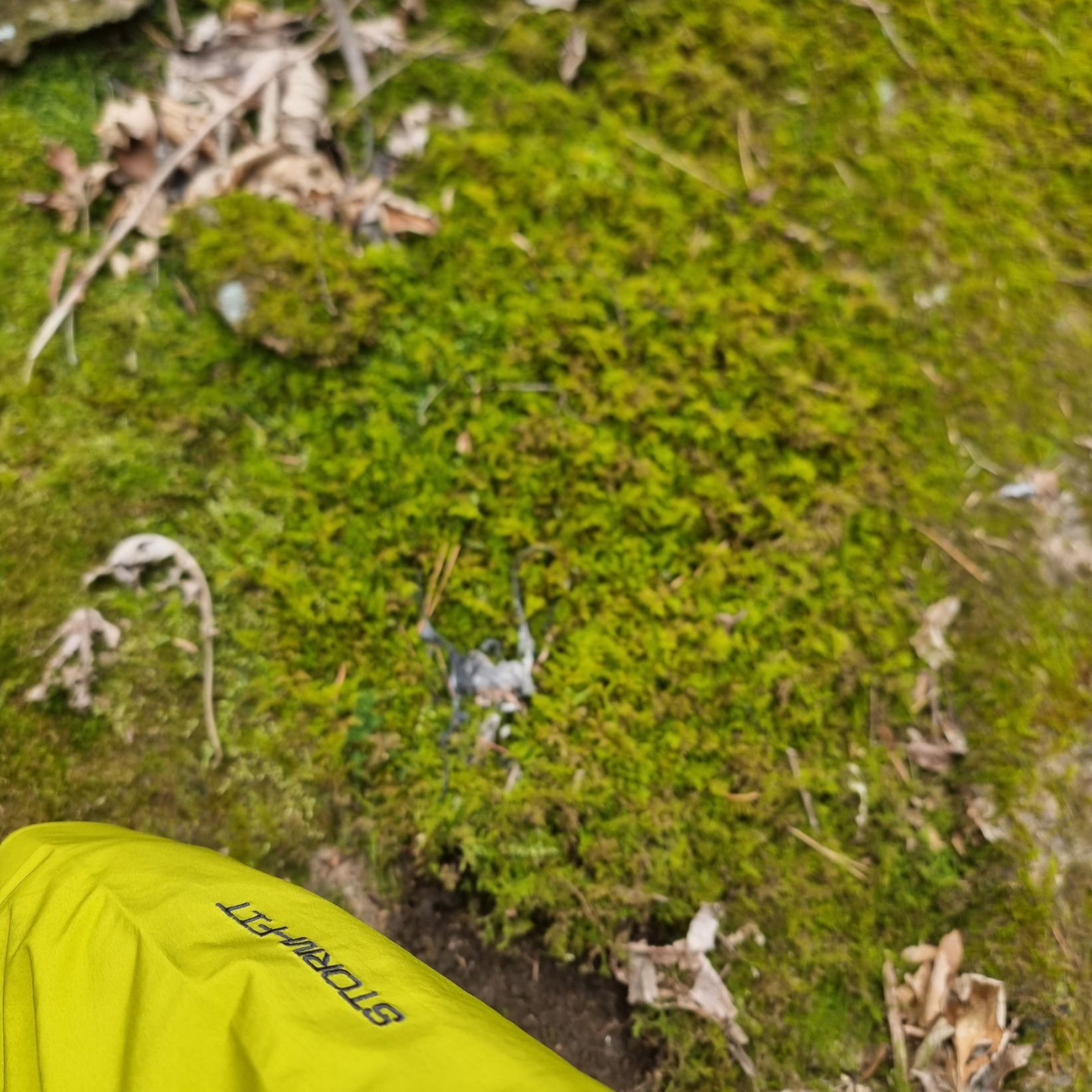 Nike ACG Storm-Fit ADV Cascade Rains Full Zip Jacket Moss - Asia 착용 스타일 - 4
