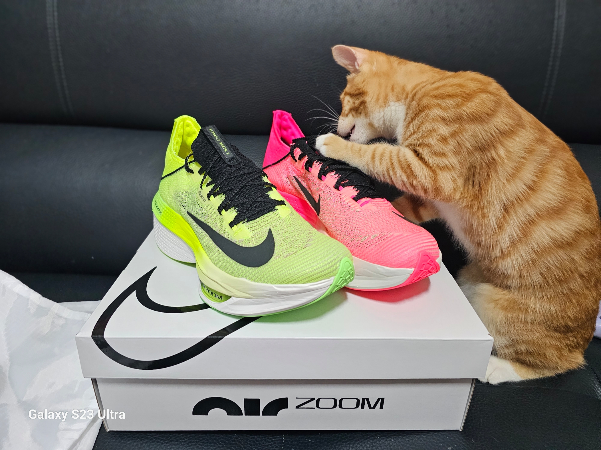 Nike Air Zoom Alphafly Next% 2 Black Metallic Gold Grain 착용 스타일 - 3