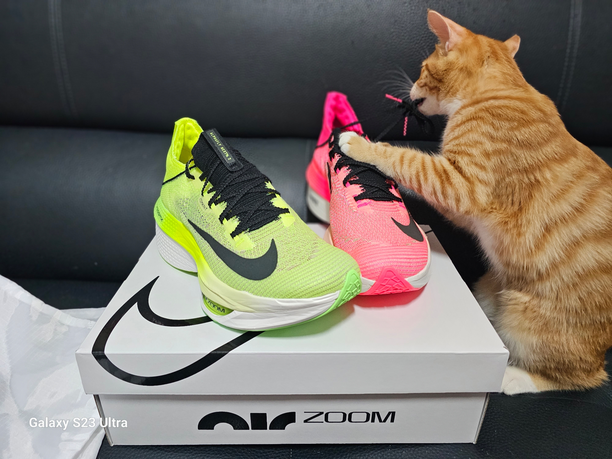 Nike Air Zoom Alphafly Next% 2 Black Metallic Gold Grain 착용 스타일 - 4