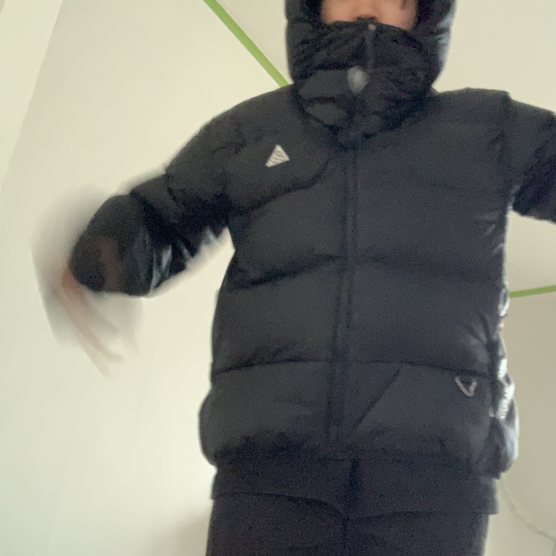 Nike ACG Therma-Fit ADV Lunar Lake Puffer Jacket Black - Asia 착용 스타일 - 1