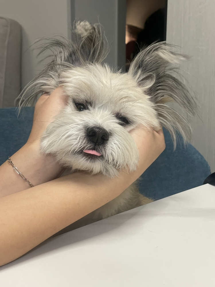 관심 유저 프로필 이미지