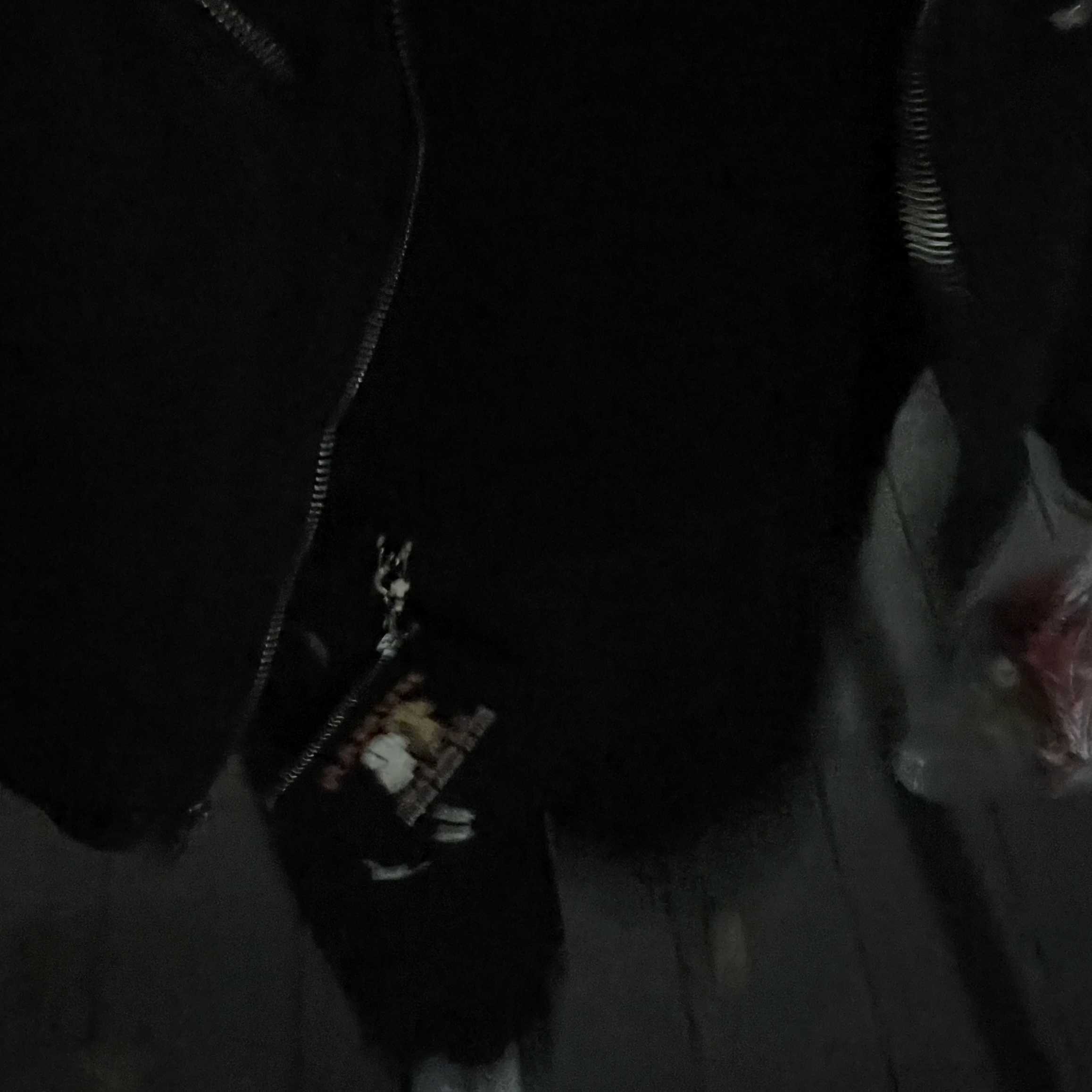 Human Made Card Case Black 착용 스타일