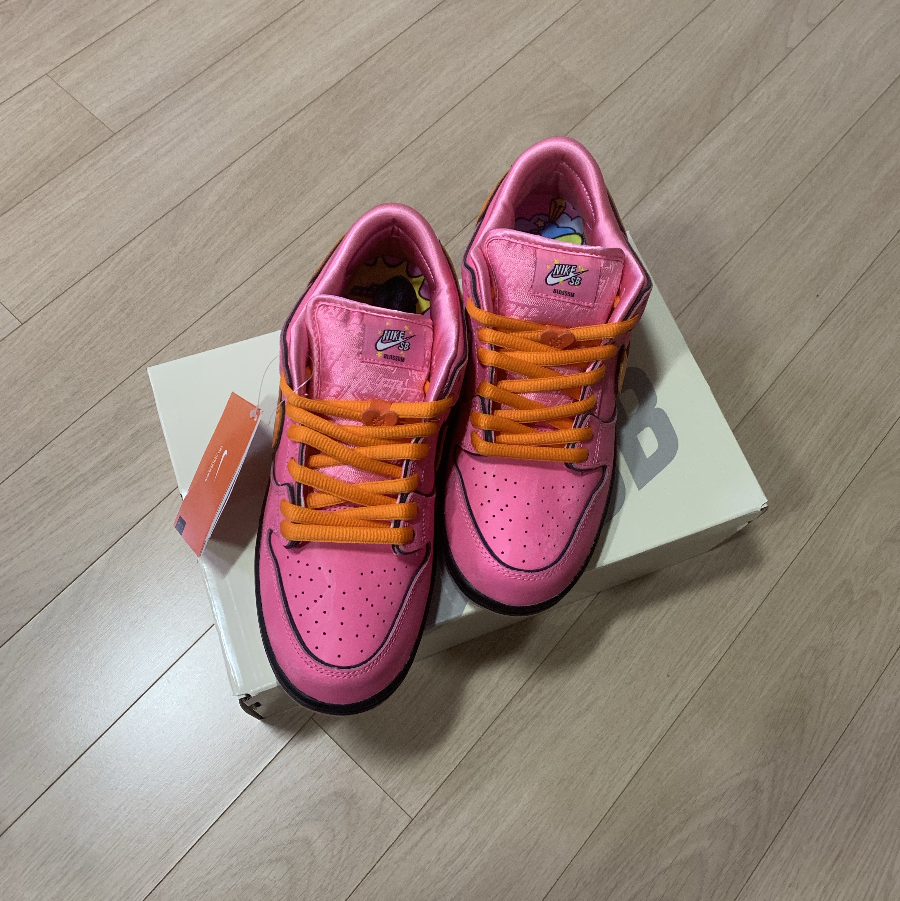 Nike x The Powerpuff Girls SB Dunk Low Pro QS Blossom 착용 스타일 - 4
