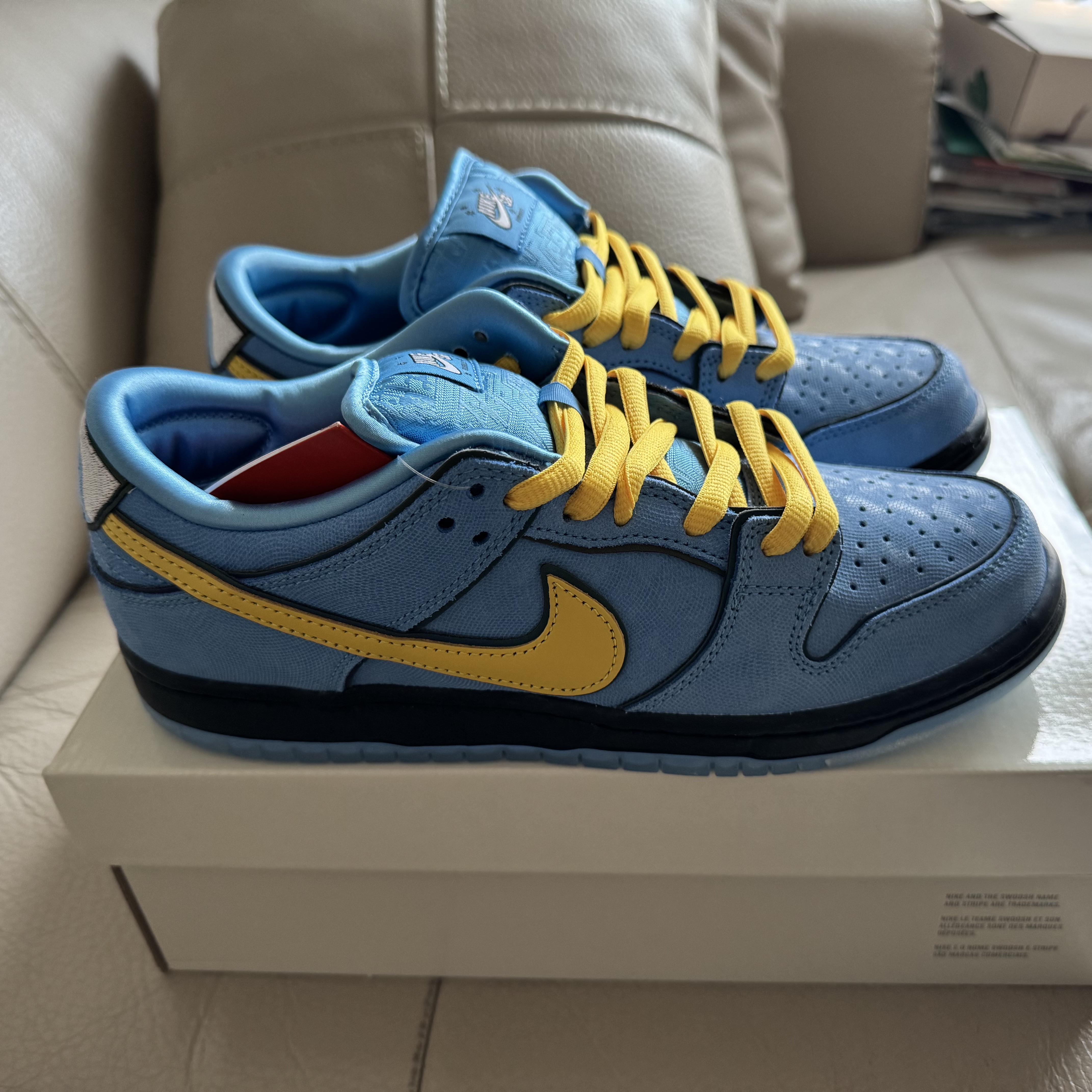 Nike x The Powerpuff Girls SB Dunk Low Pro QS Bubbles 착용 스타일 - 2