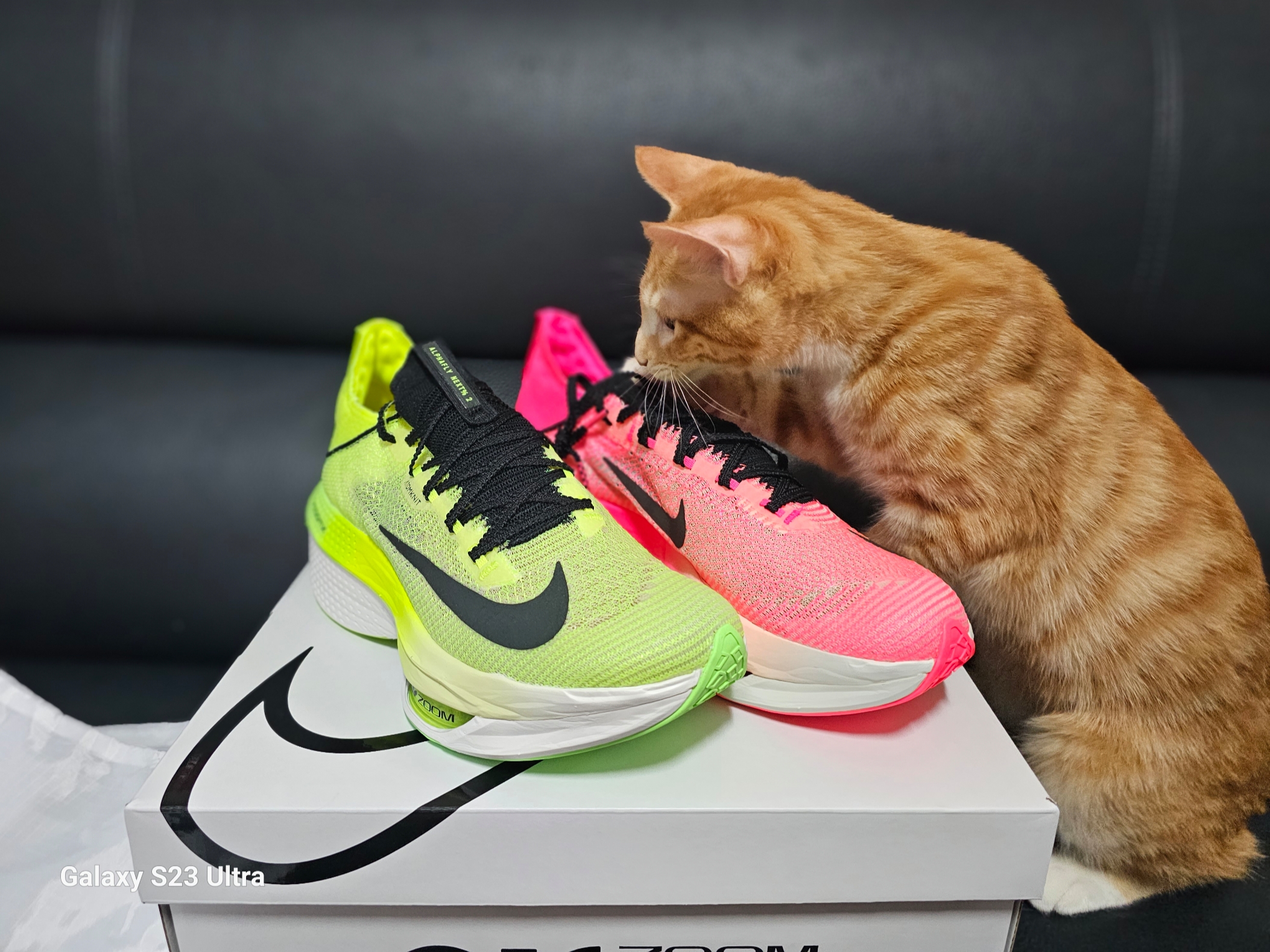 Nike Air Zoom Alphafly Next% 2 Black Metallic Gold Grain 착용 스타일 - 2