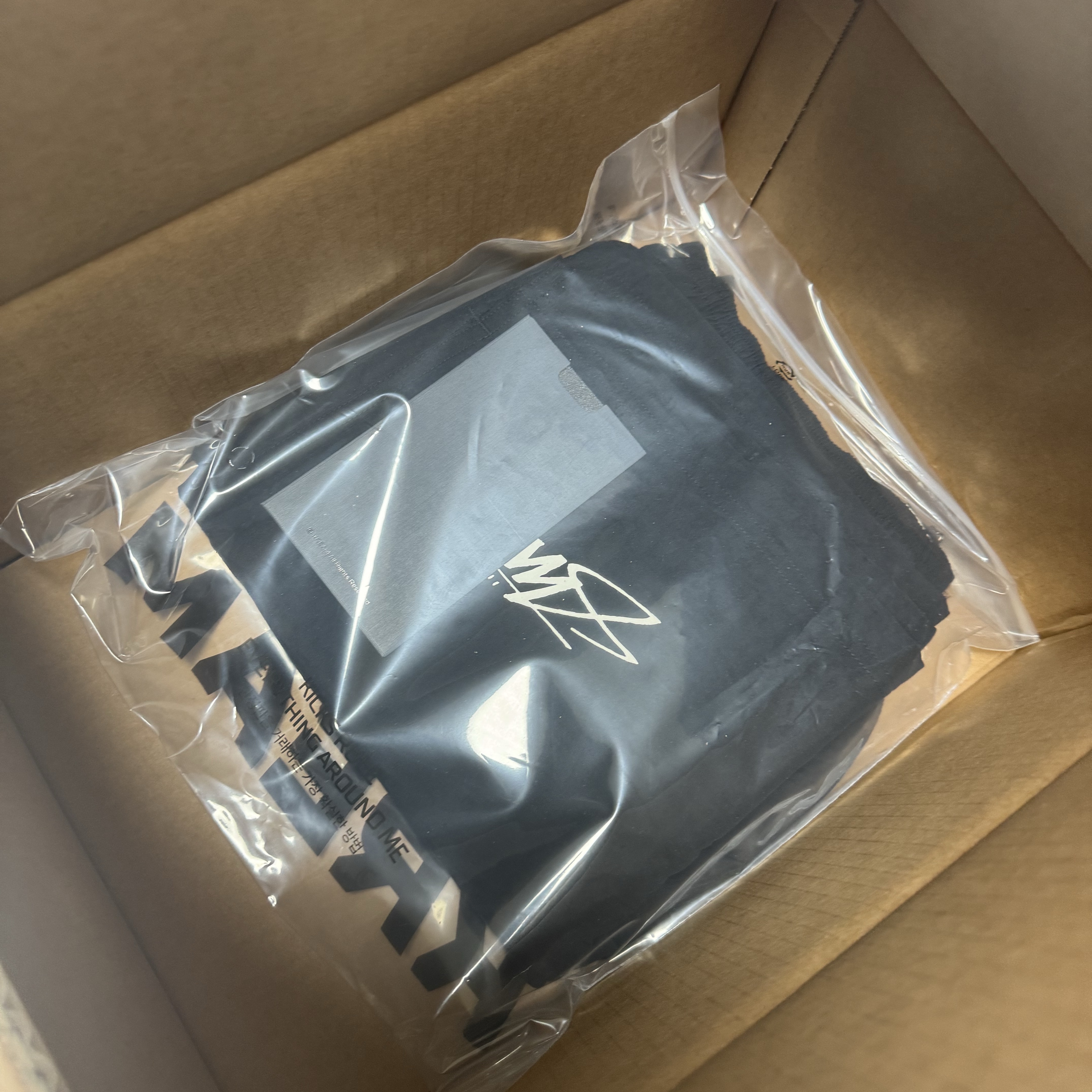 Nike x Stussy Shorts Black (FJ9167-010) 착용 스타일