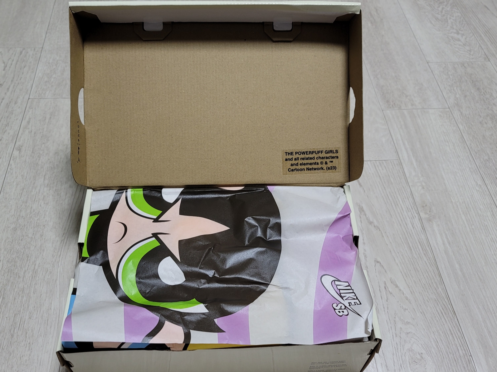 Nike x The Powerpuff Girls SB Dunk Low Pro QS Blossom 착용 스타일 - 2