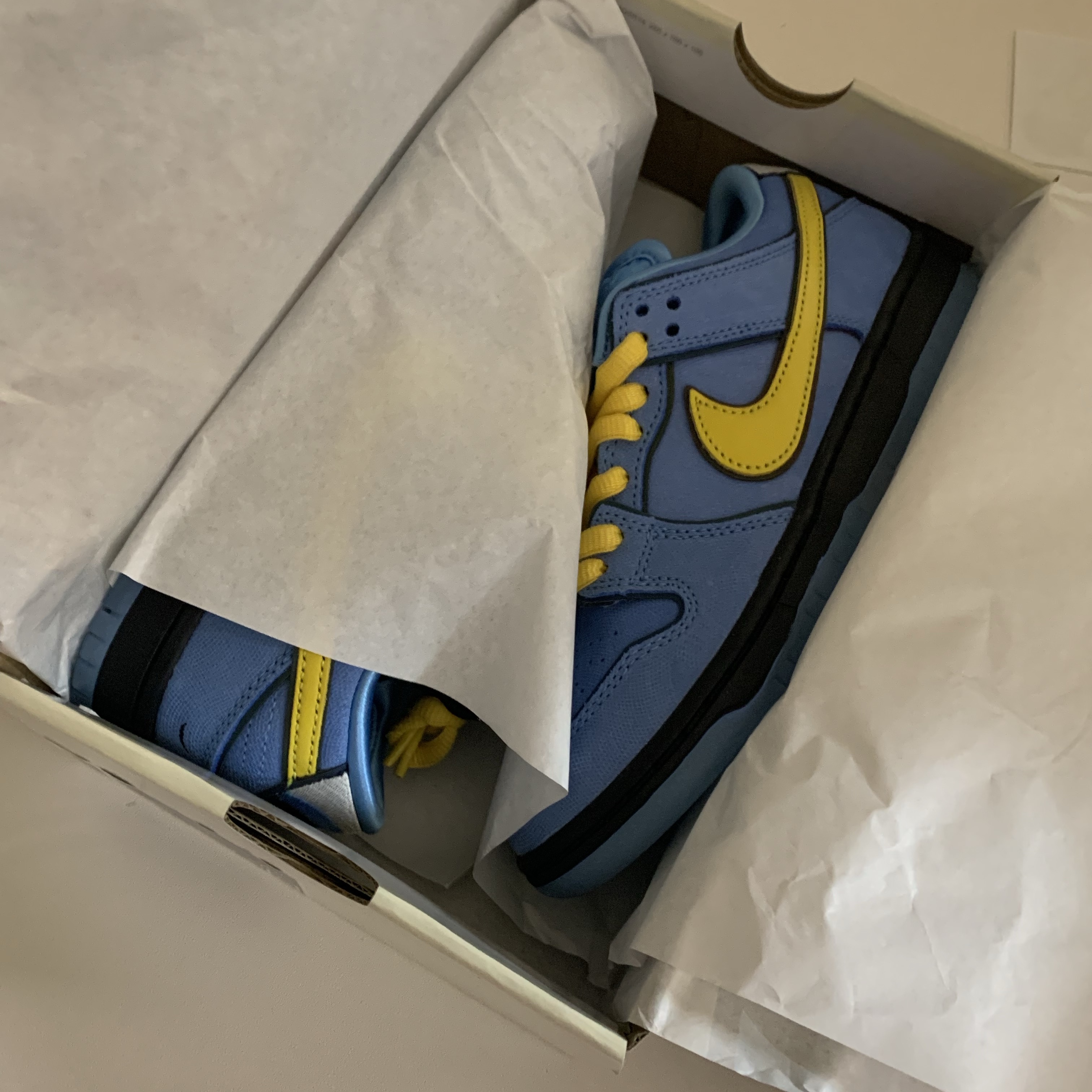 Nike x The Powerpuff Girls SB Dunk Low Pro QS Bubbles 착용 스타일 - 2