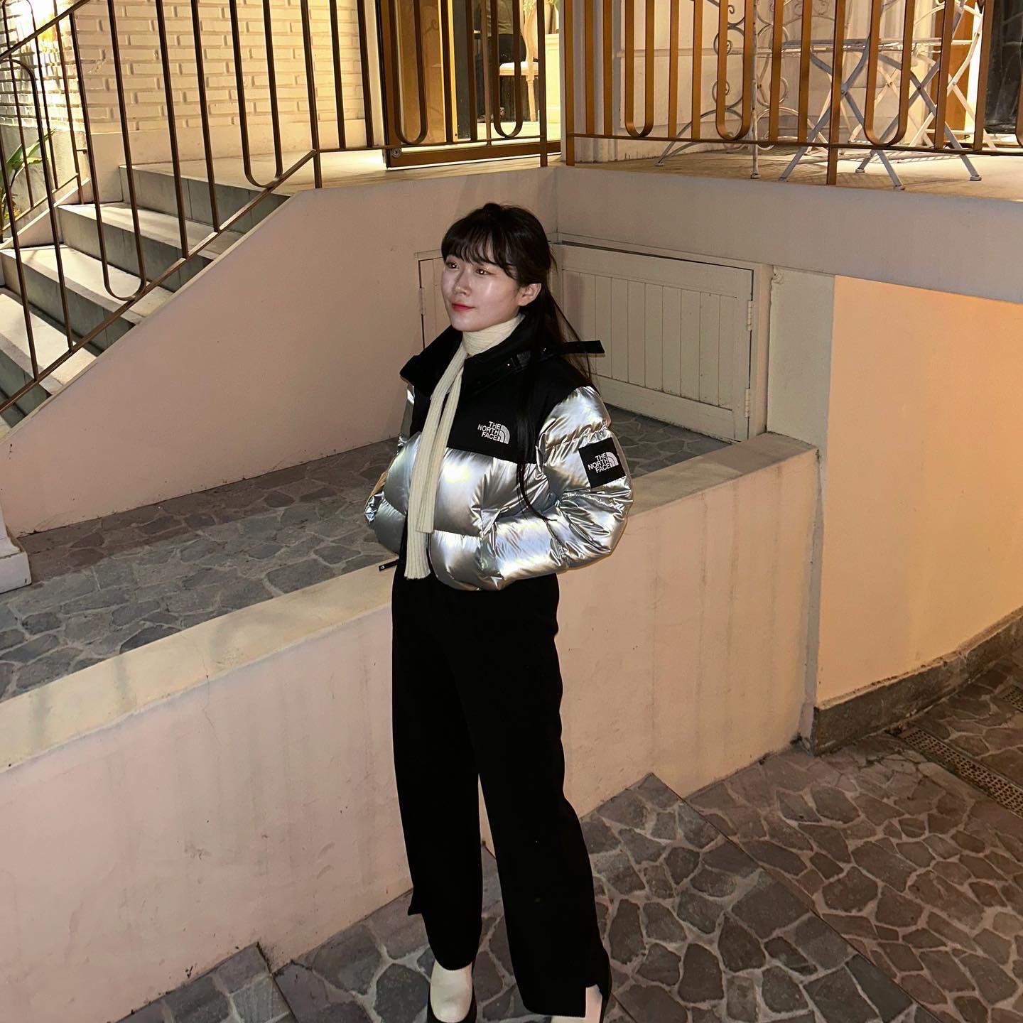 (W) The North Face White Label Novelty Nuptse Down Jacket SE Silver 착용 스타일