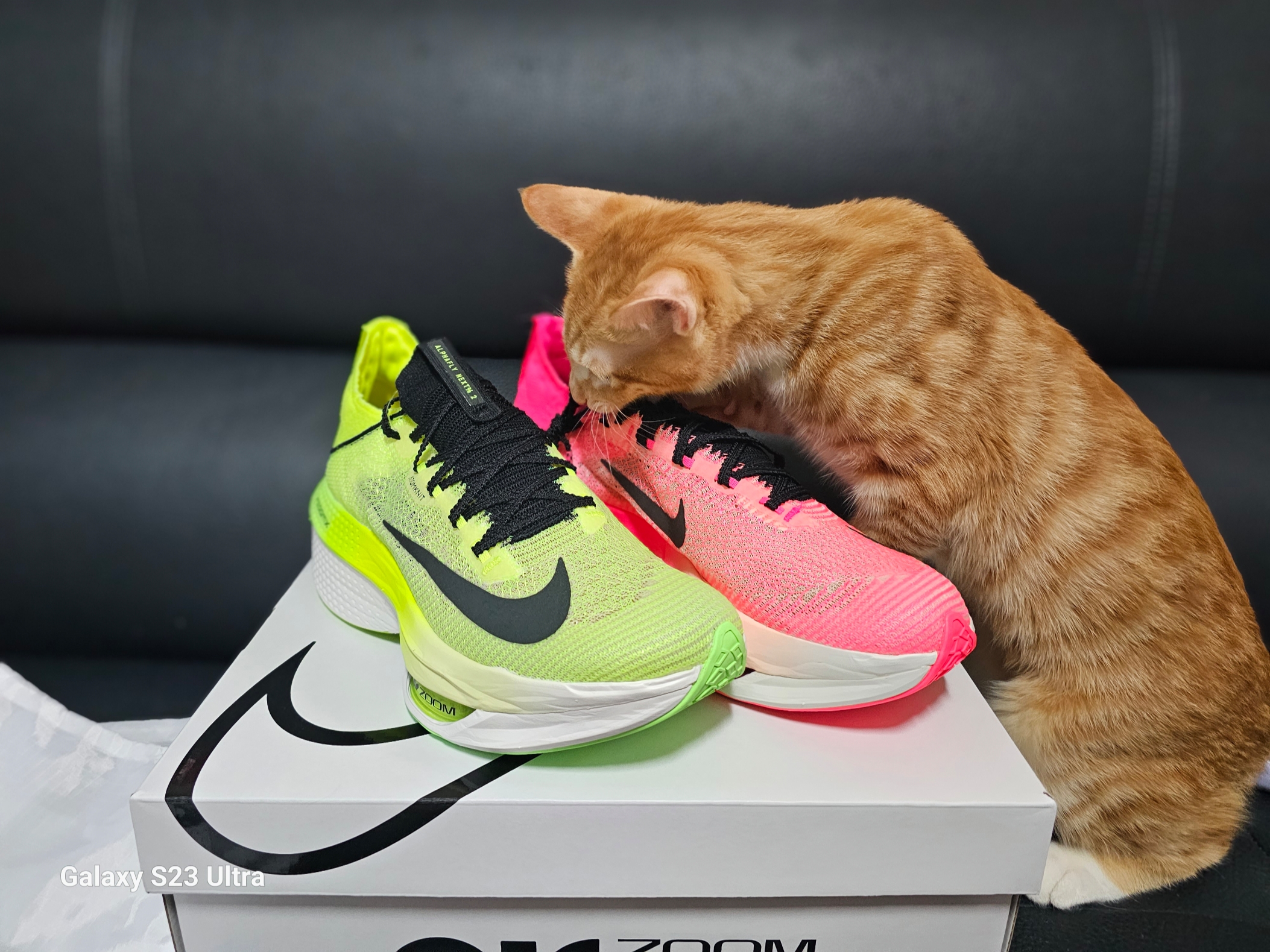 Nike Air Zoom Alphafly Next% 2 Black Metallic Gold Grain 착용 스타일 - 1