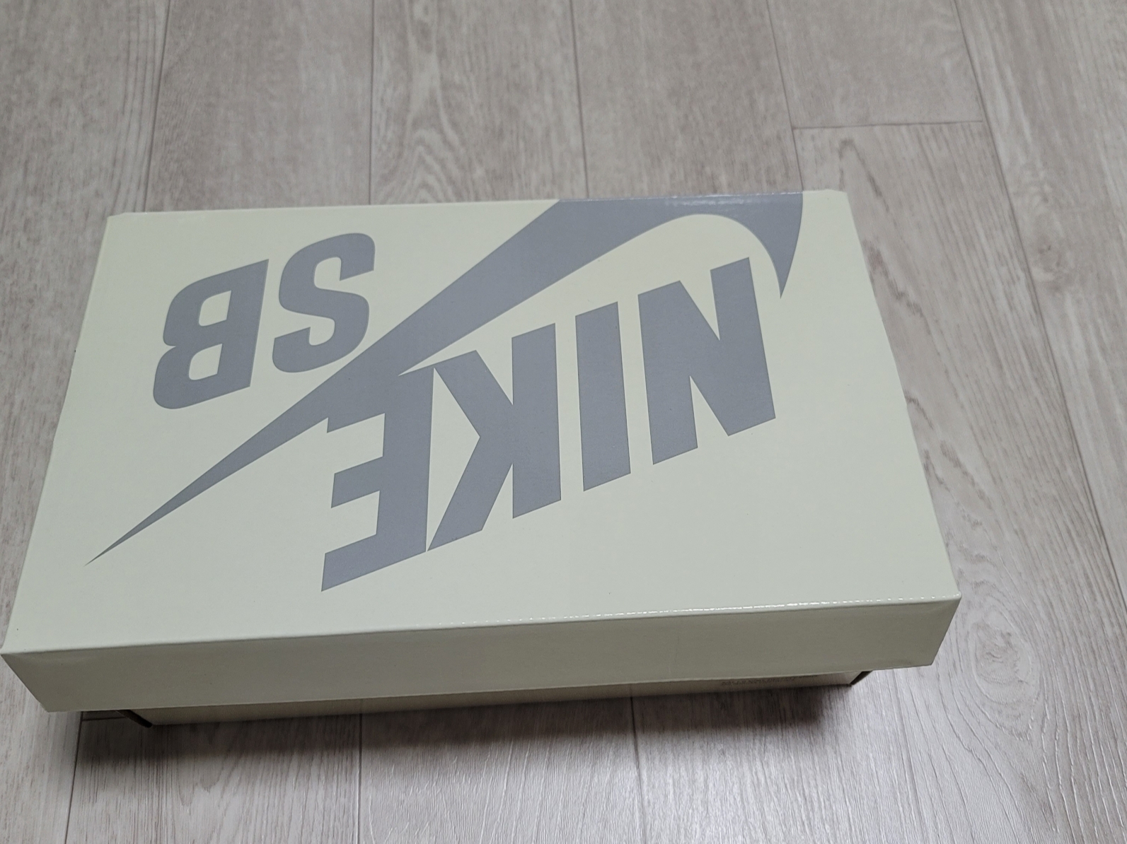 Nike x The Powerpuff Girls SB Dunk Low Pro QS Blossom 착용 스타일 - 1