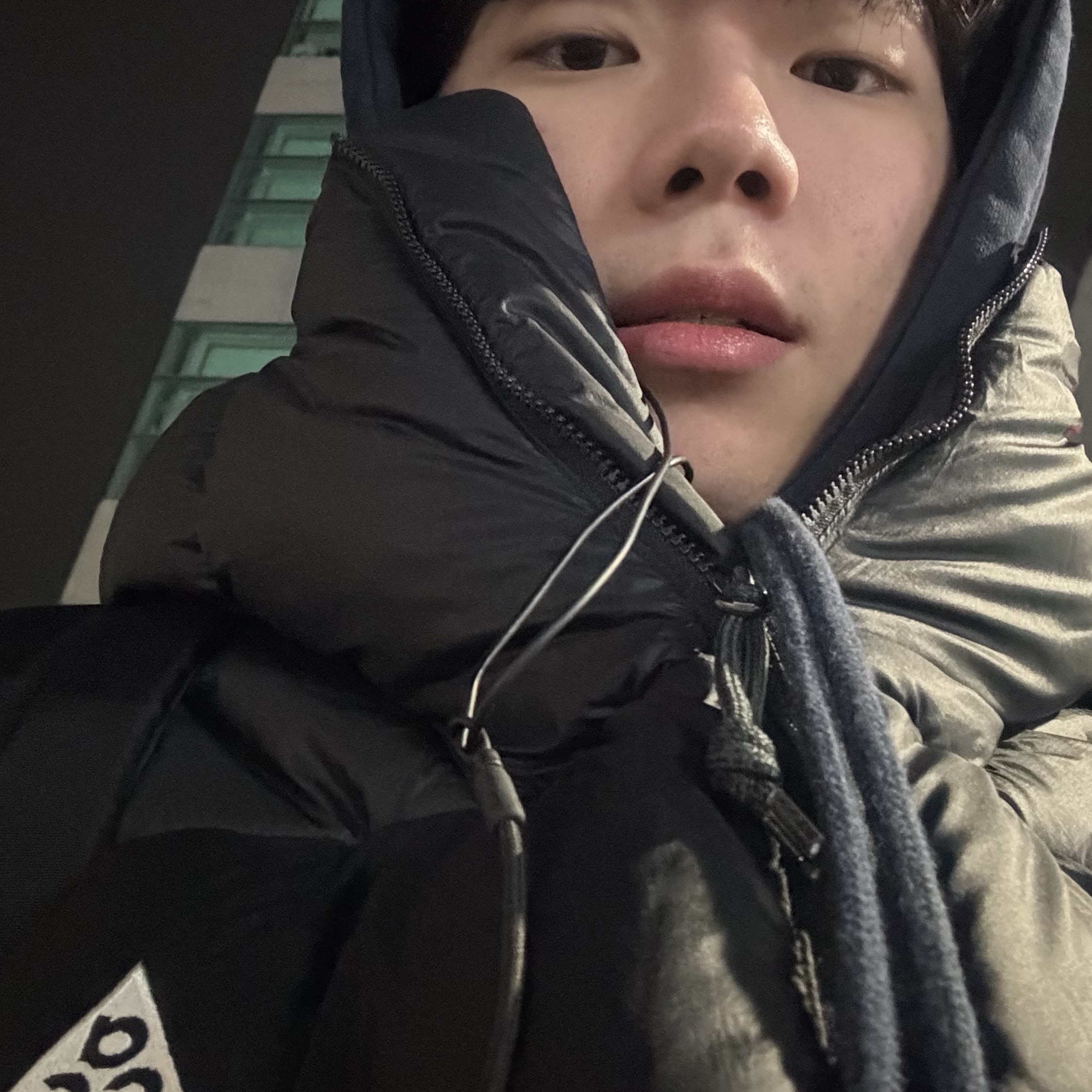 Nike ACG Therma-Fit ADV Lunar Lake Puffer Jacket Black - Asia 착용 스타일