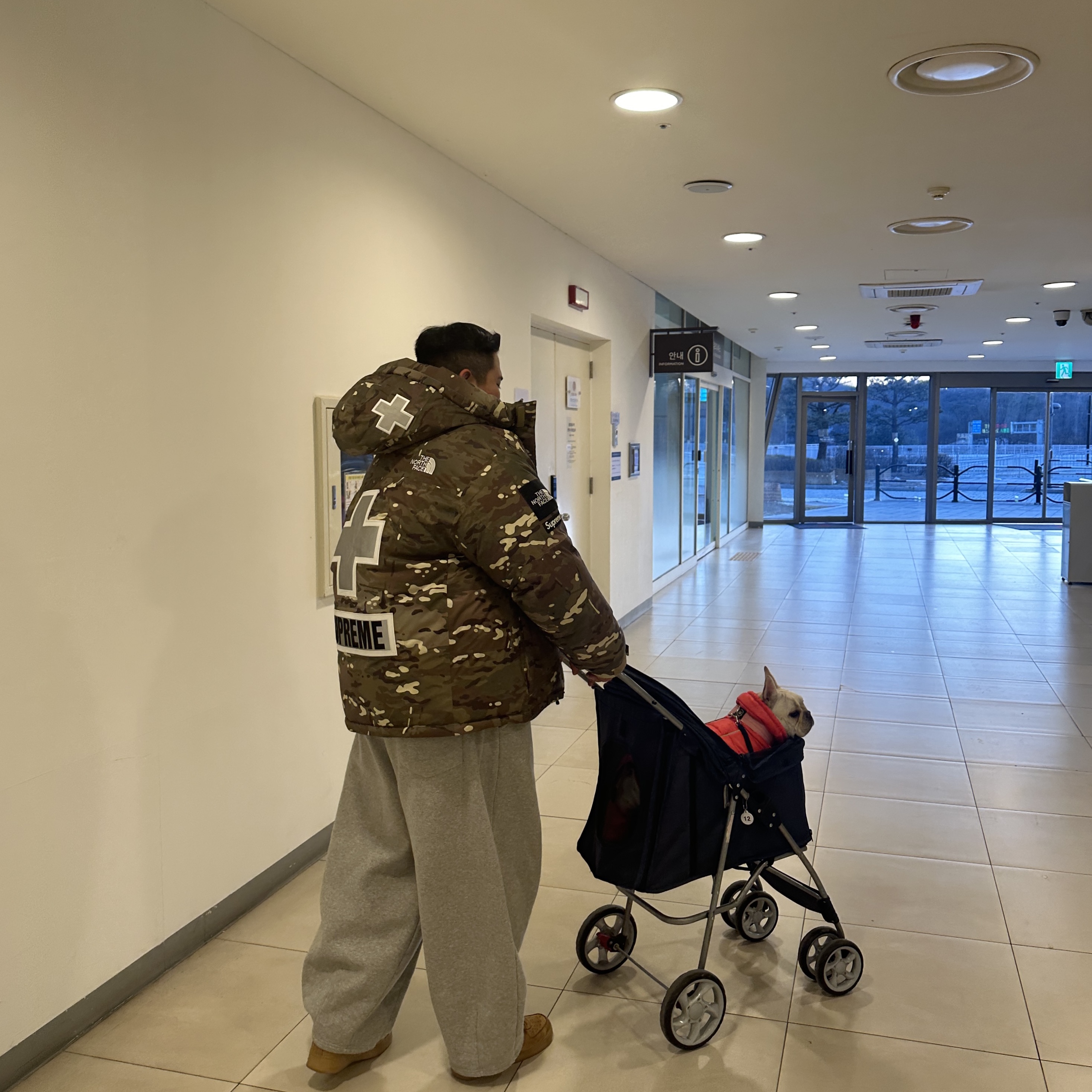 Supreme x The North Face Summit Series Rescue Baltoro Jacket Multi Camo - 22SS, Nike Air Force 1 '07 WB Flax 착용 스타일