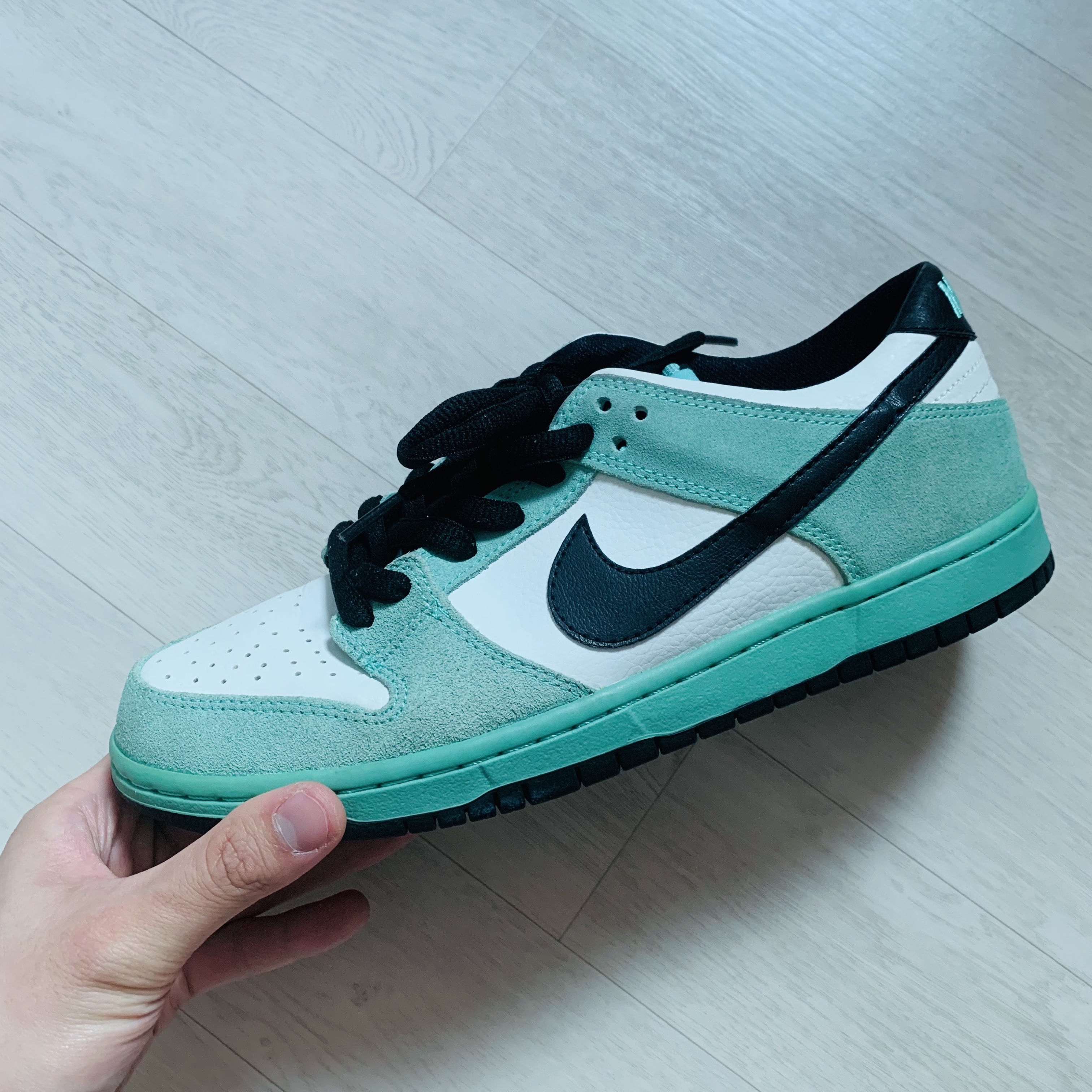 Nike Dunk SB Low Sea Crystal 착용 스타일